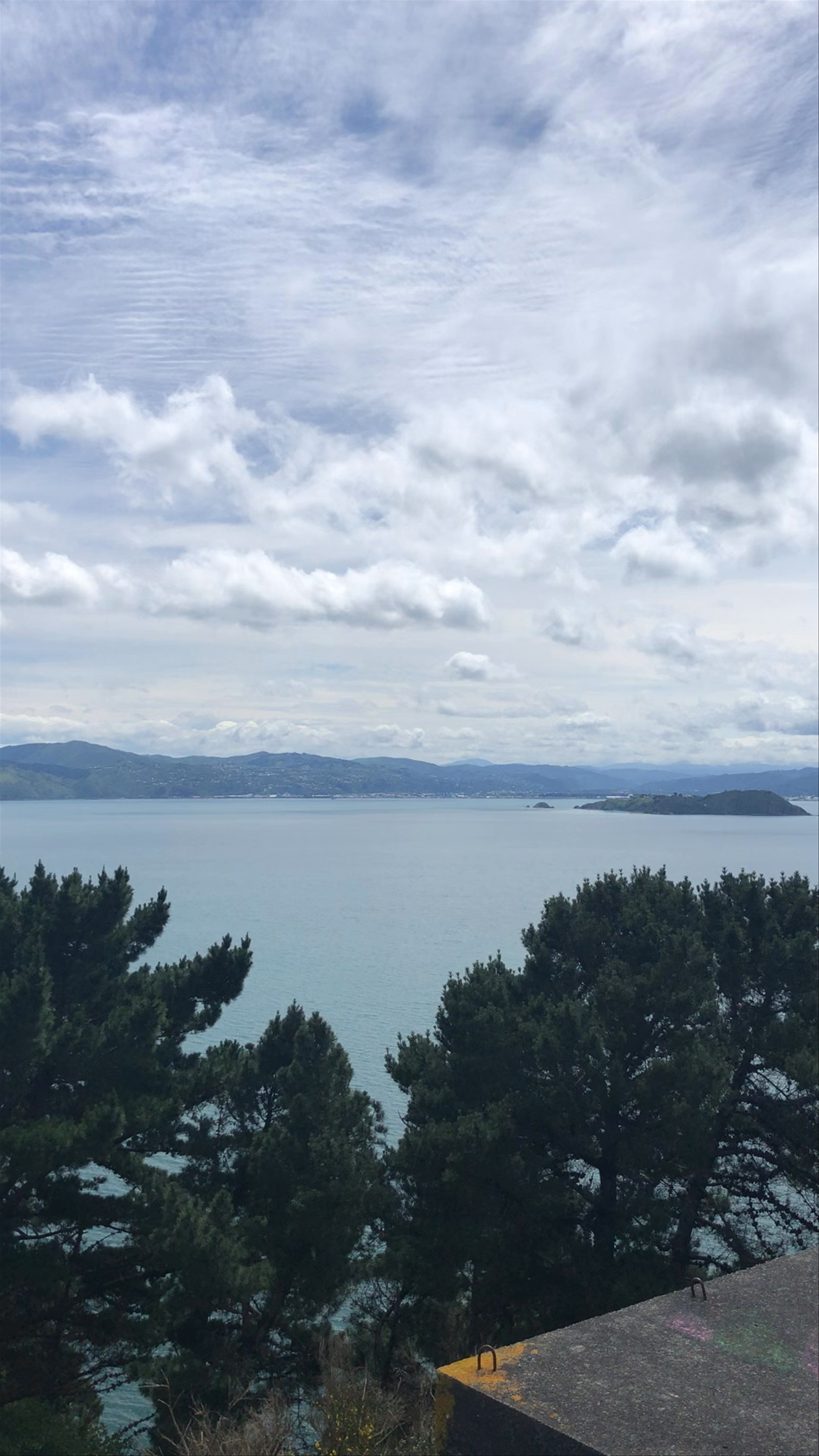 Seaside Serenity from Fort Ballance Road, Maupuia, Wellington