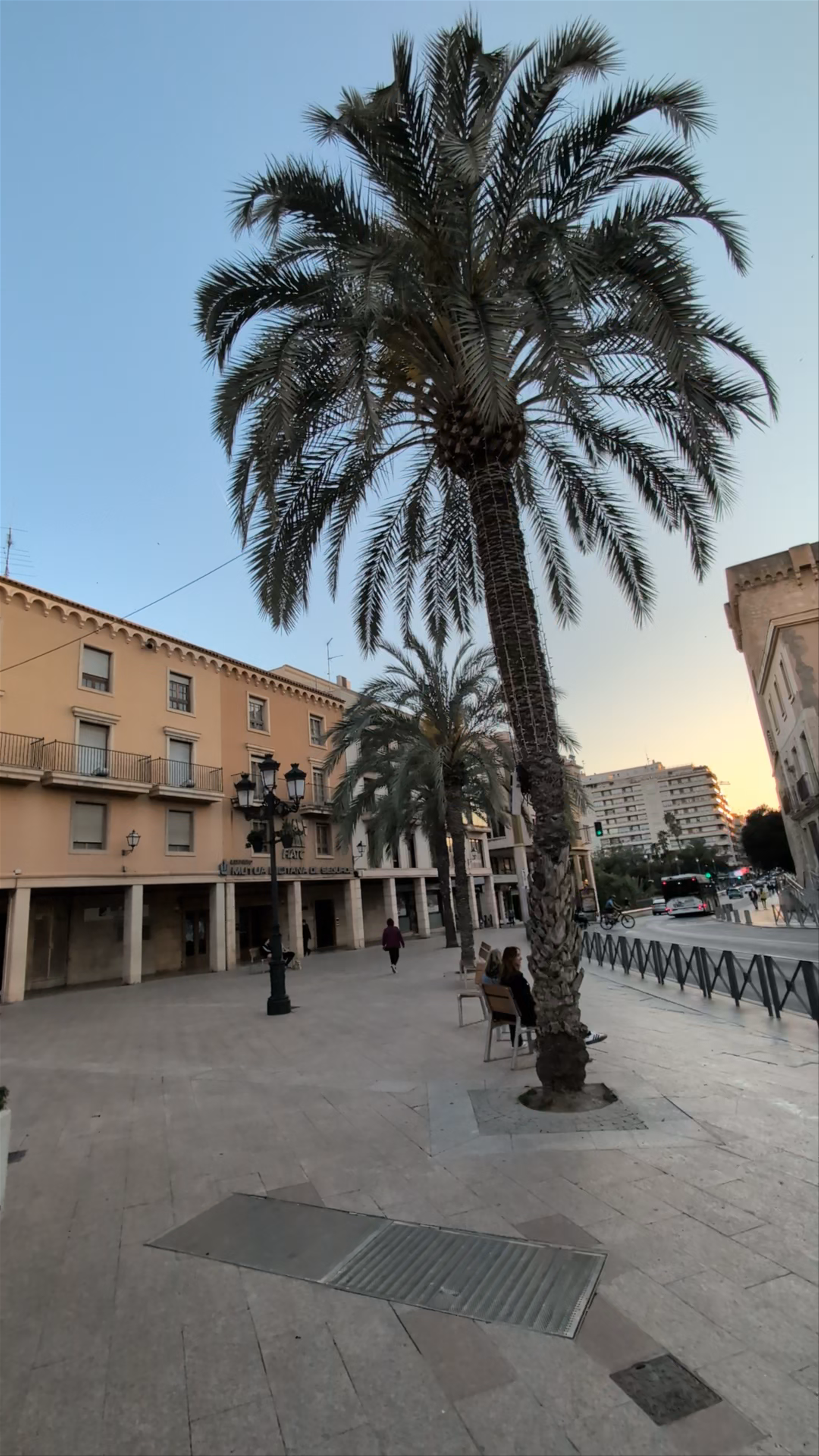Sunset Stroll at Basílica de Santa María, Elche
