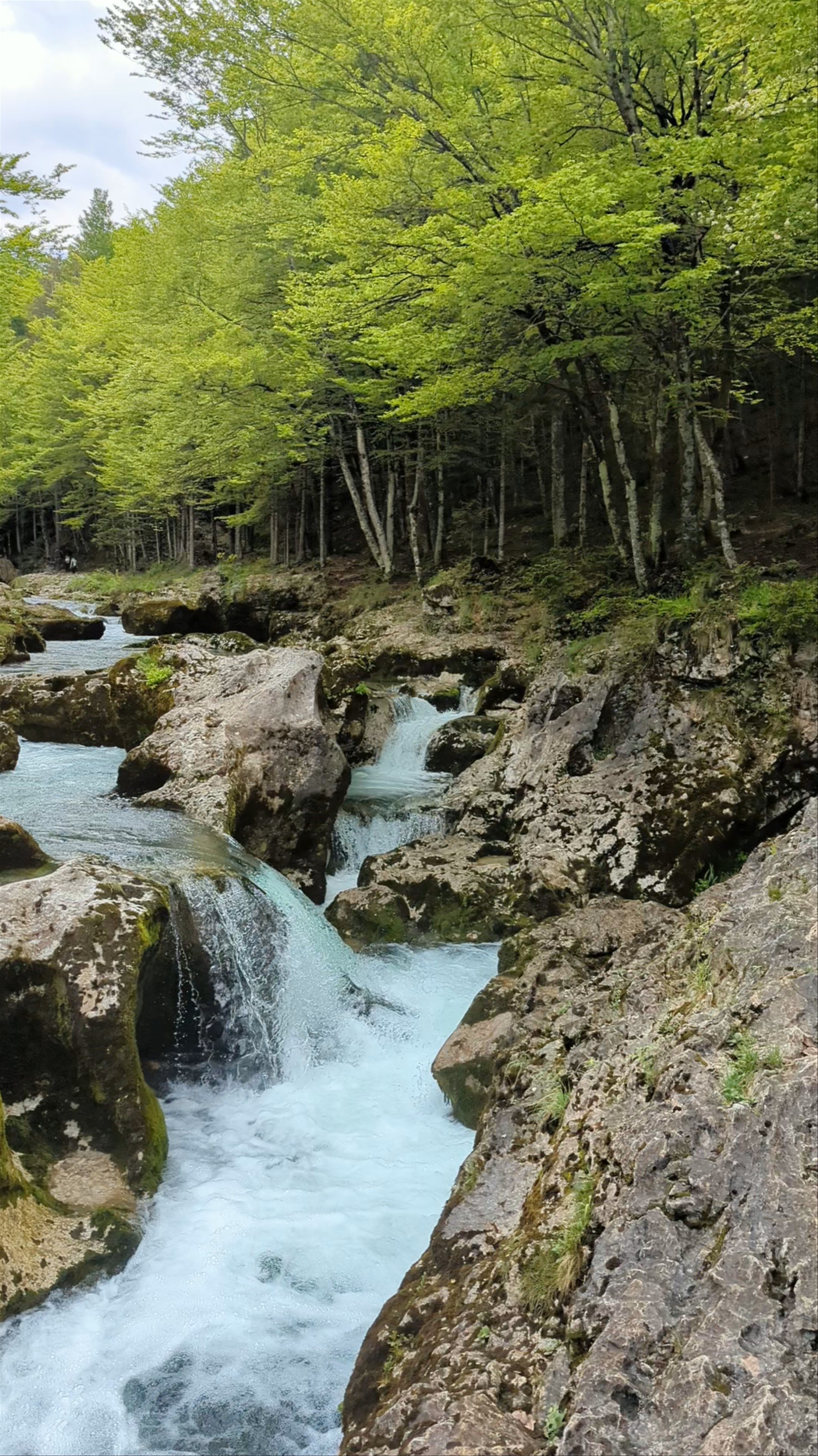 Mostnica Gorge