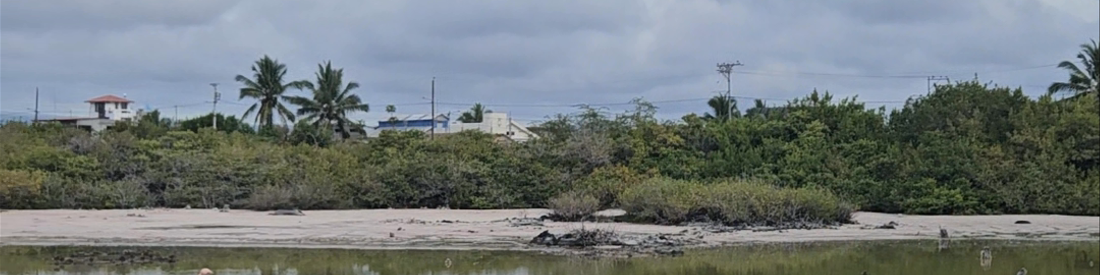 Puerto Villamil