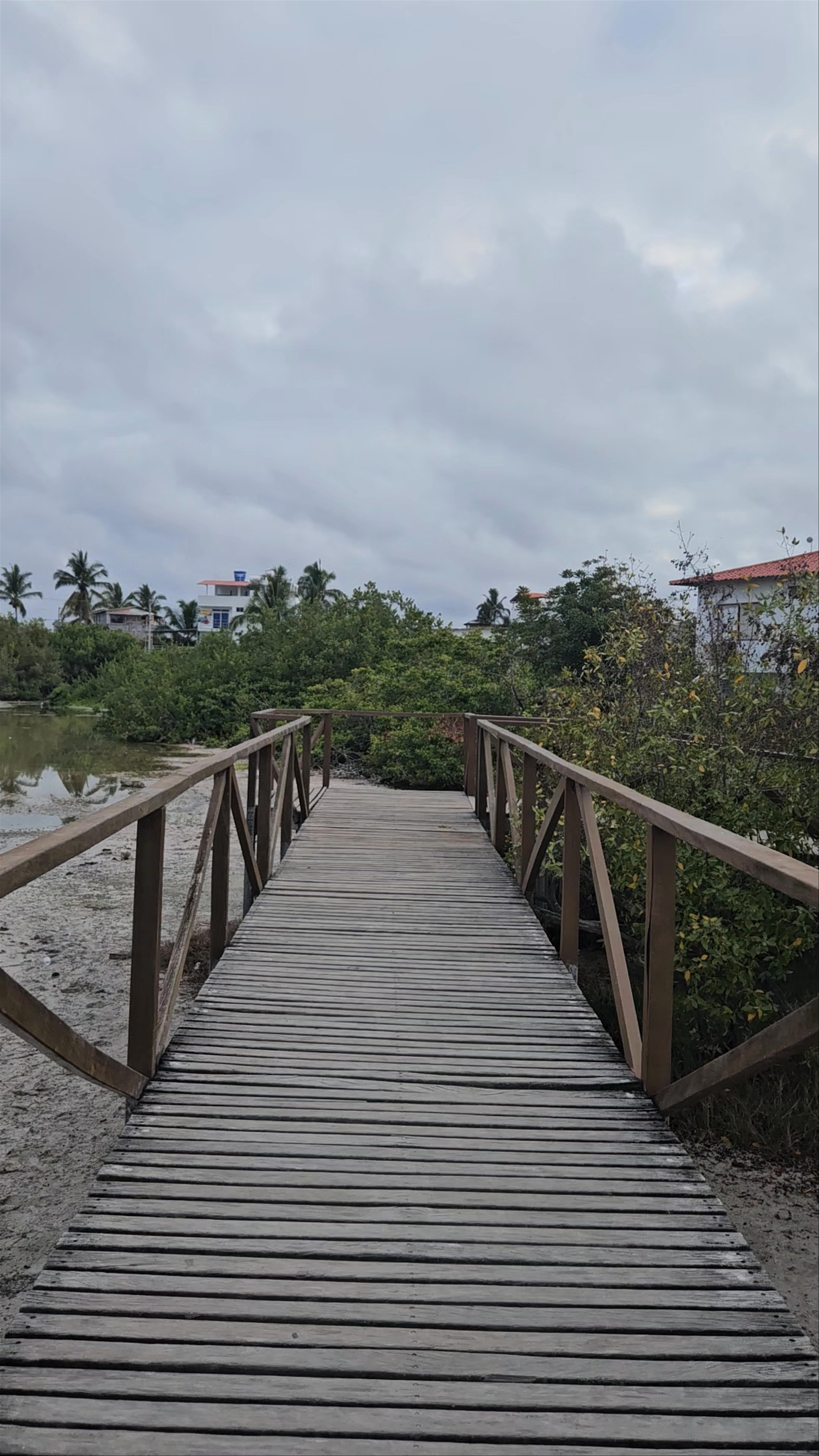 Poza de los Flamingos