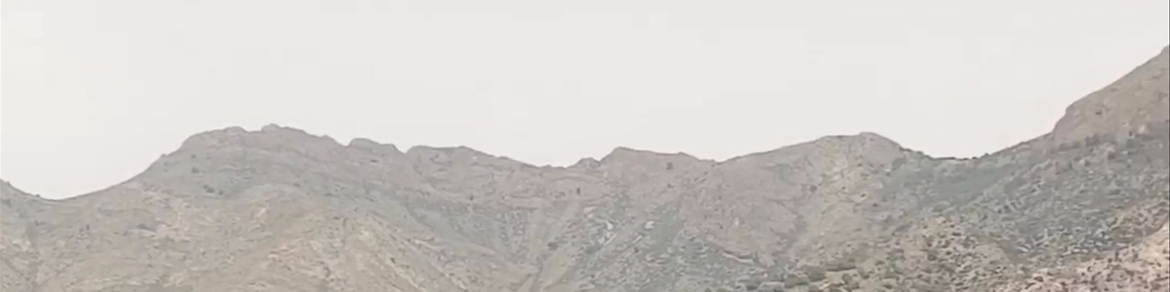 Isla de las Palomas