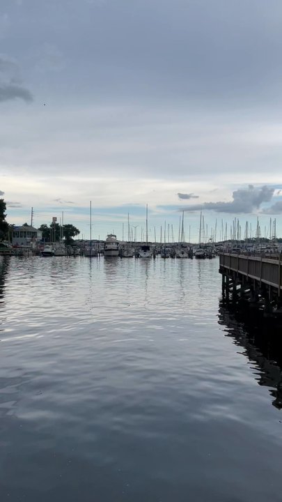Mandarin Park - View of the St. John's River - Parks Near Me - Jacksonville, Florida