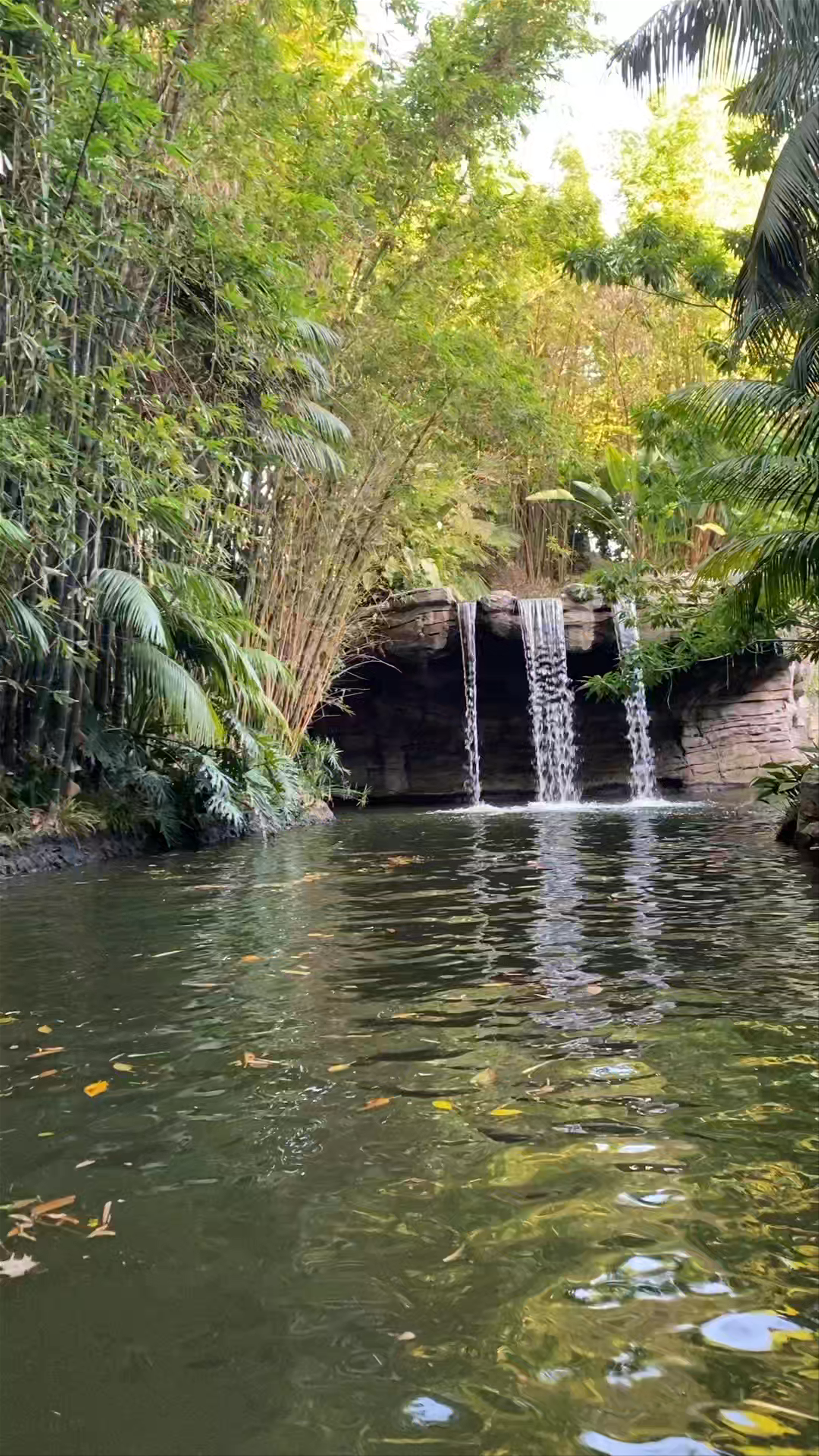 Jungle Cruise