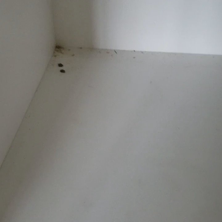 Duty Cleaners - look how clean it is - Home Cleaning Near Me - Edmonton, Alberta