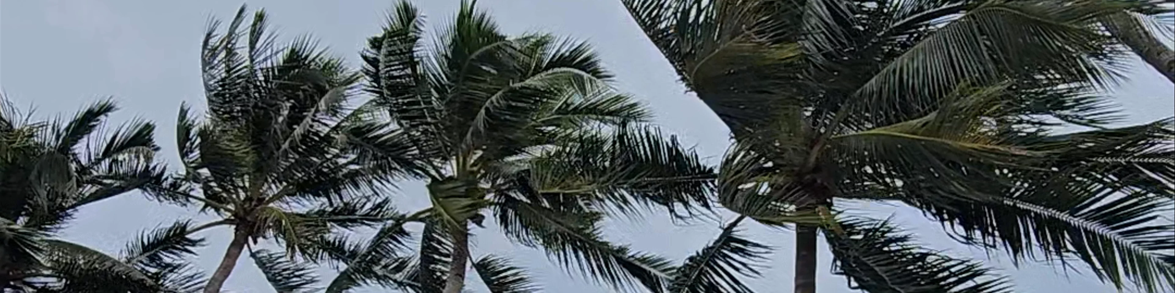 Siago Beach Resort