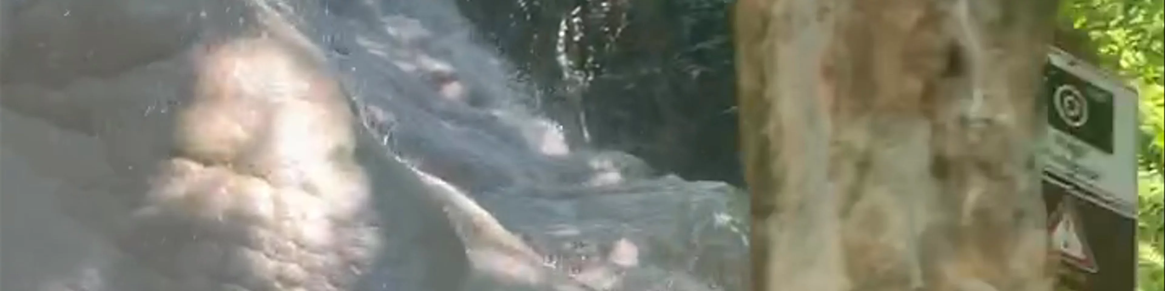Bua Tong Waterfalls
