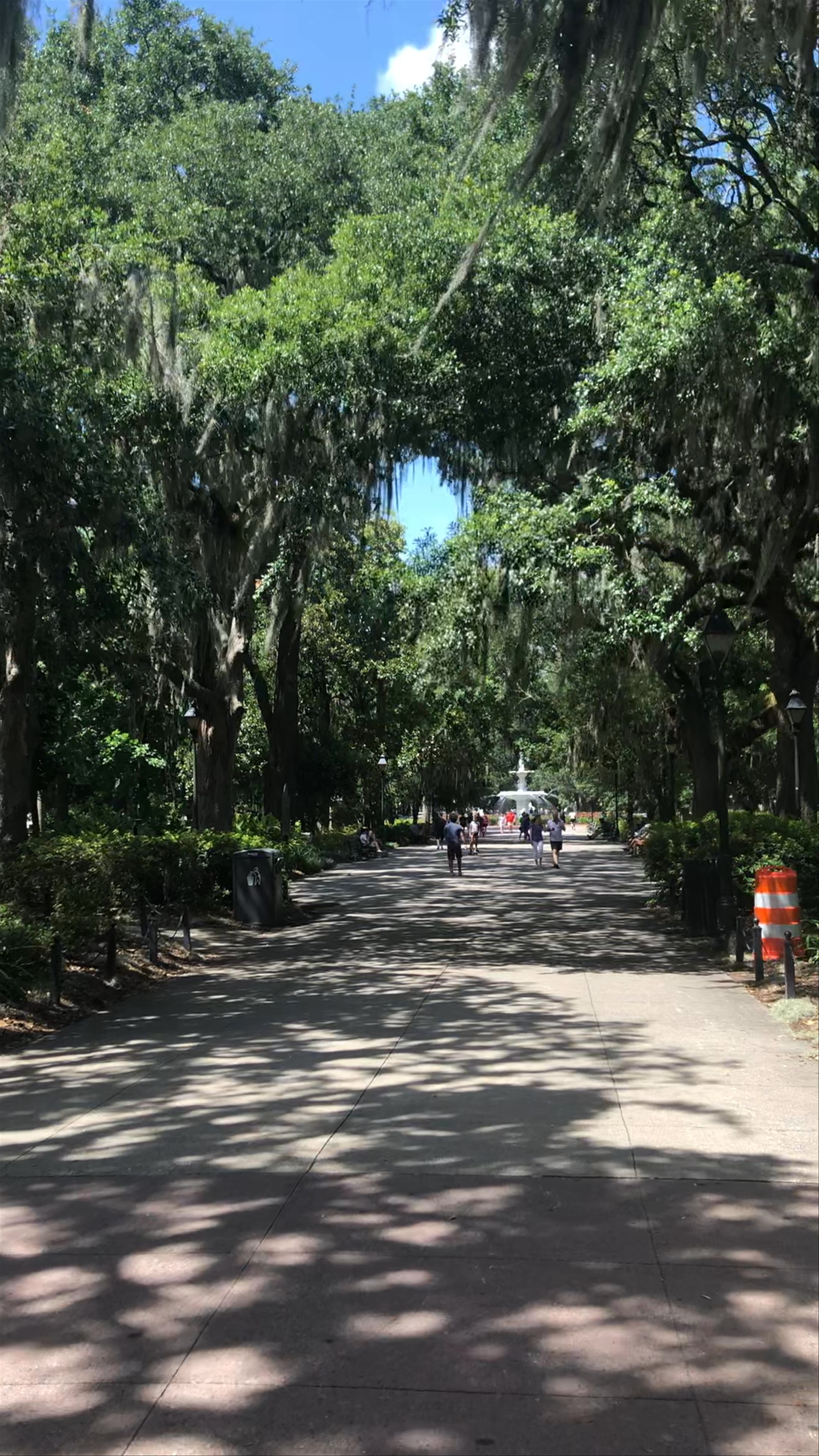 Forsyth park 