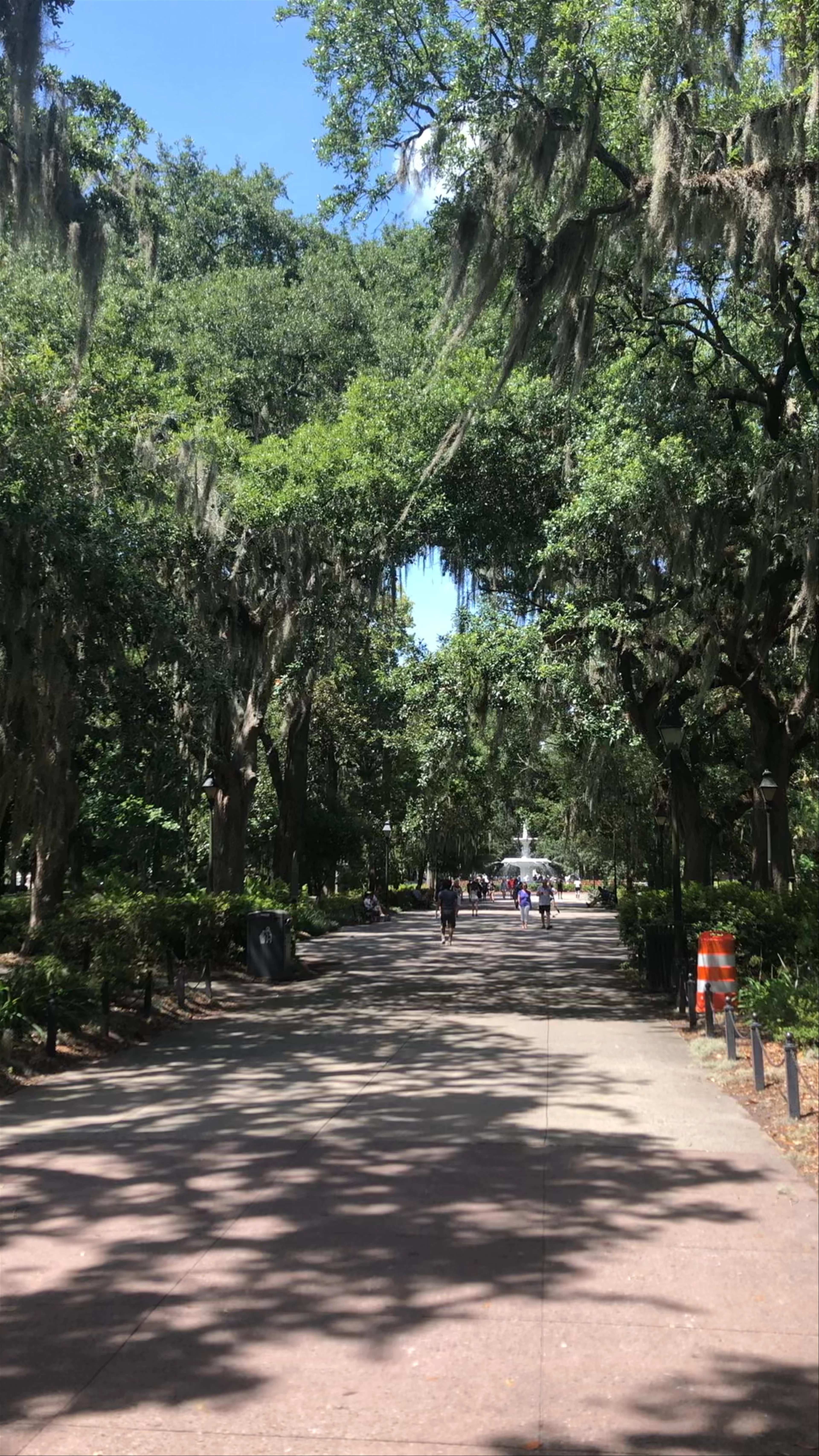 Forsyth Park