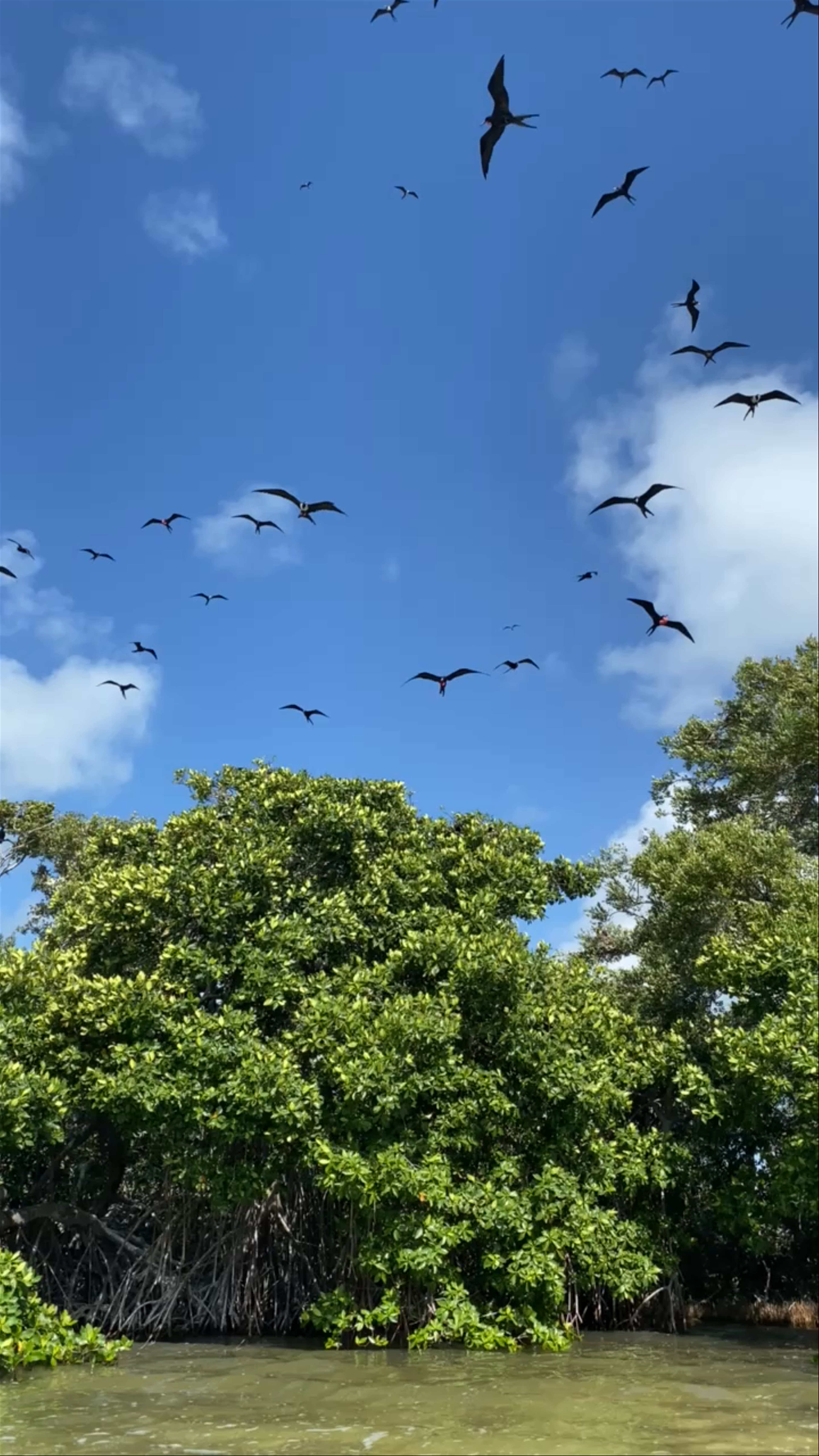 Sian Ka'an Tours Diamante Maya