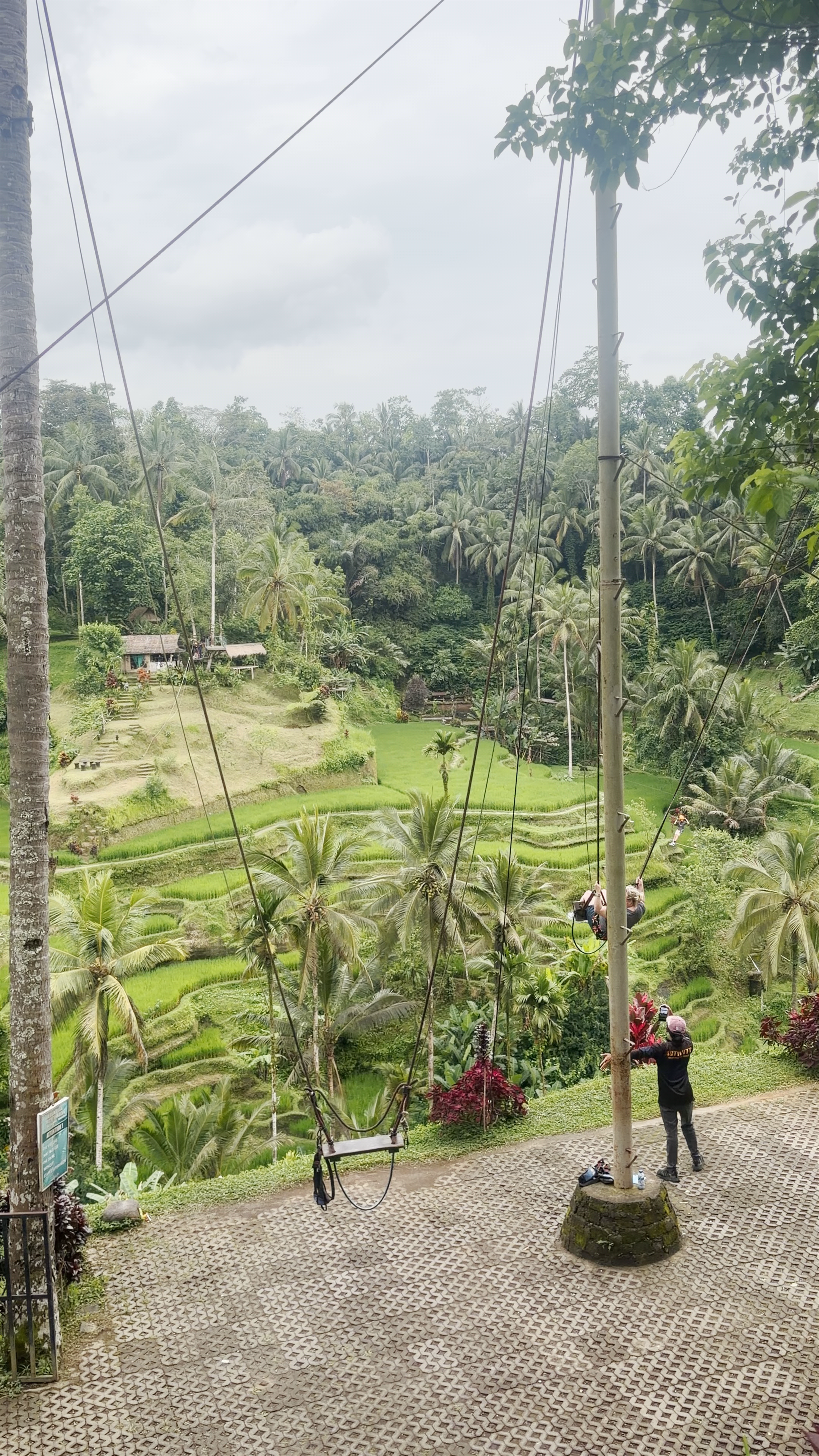 Tegallalang Rice Terrace