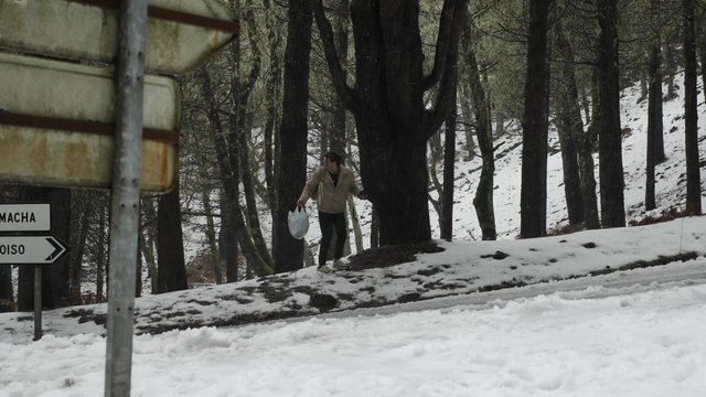 Running across the snowy road