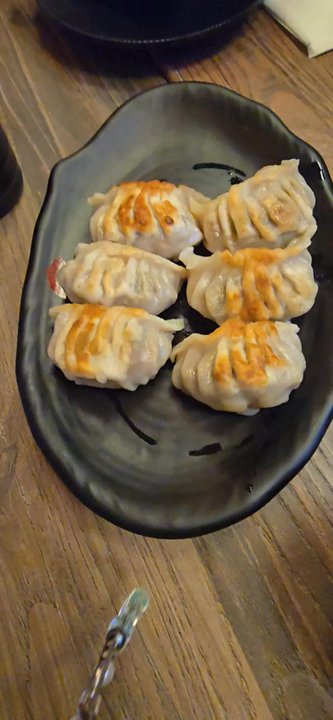 Okay Noodle - Pan fried dumplings - Noodles Near Me - Elmhurst, New York