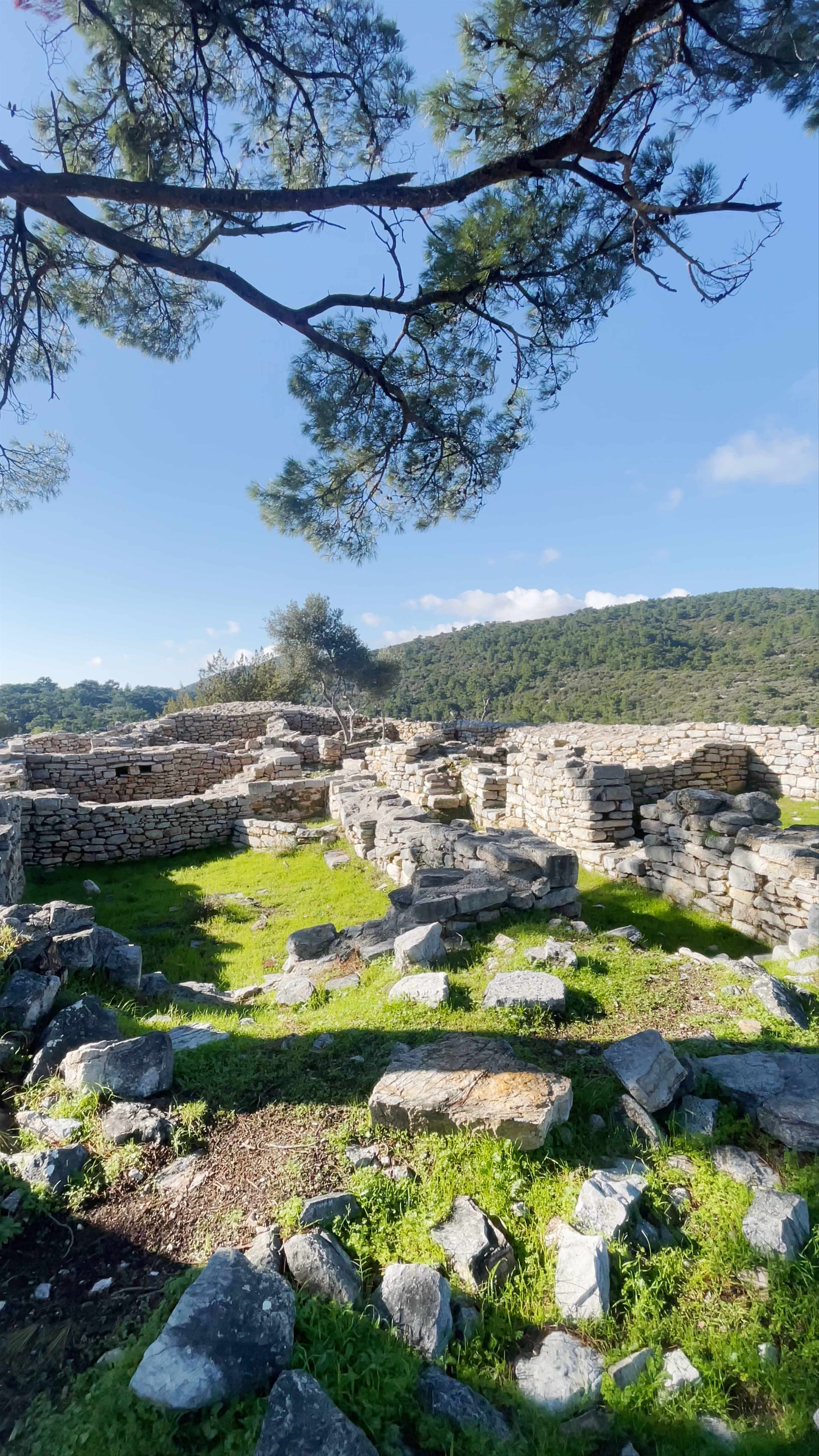 Pedasa Ancient City Ruins: A Tranquil Journey Through Time in Torba, Bodrum
