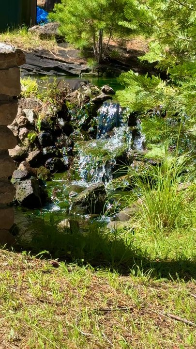 Lake Almanor West Golf Course - Golf Near Me - Chester, California