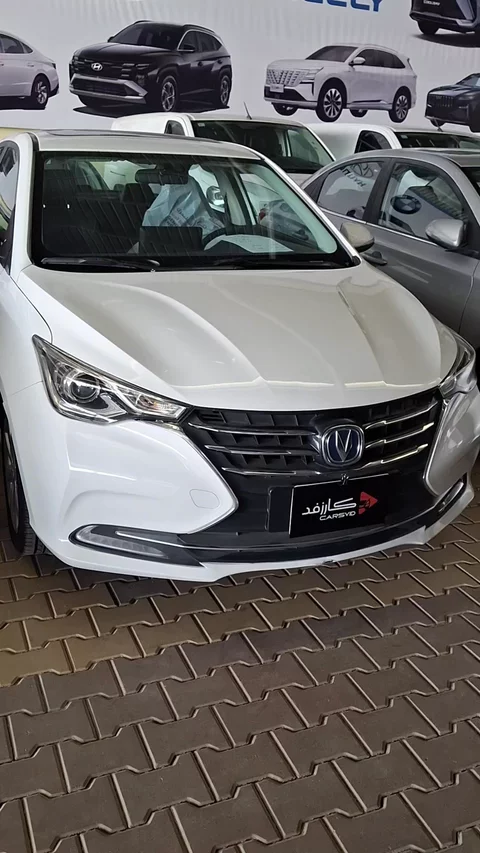 شانجان السفن Full Option 2025