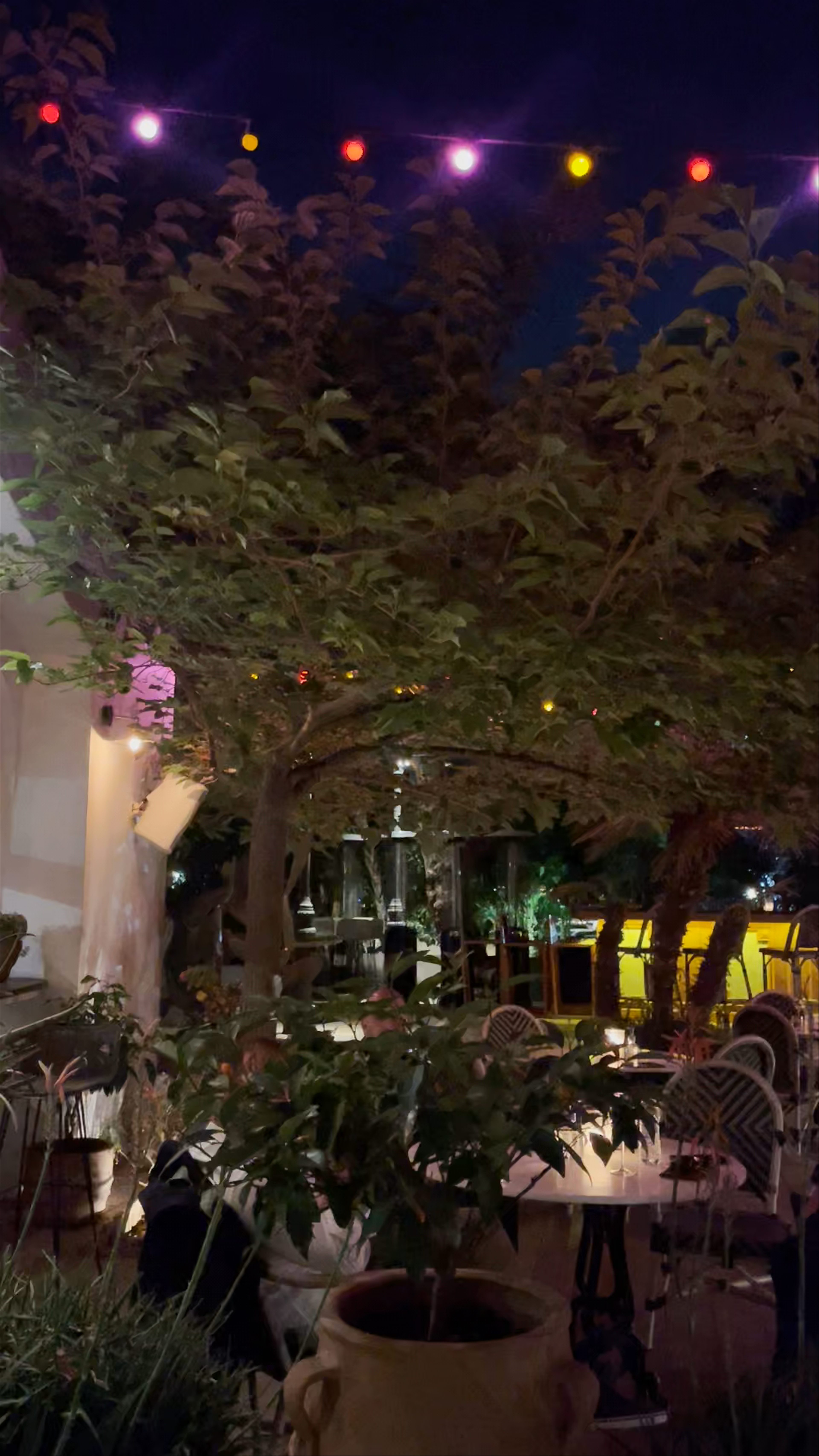 Ark Night Ambiance: Enchanting Evening Vibes in Glyfada, Greece
