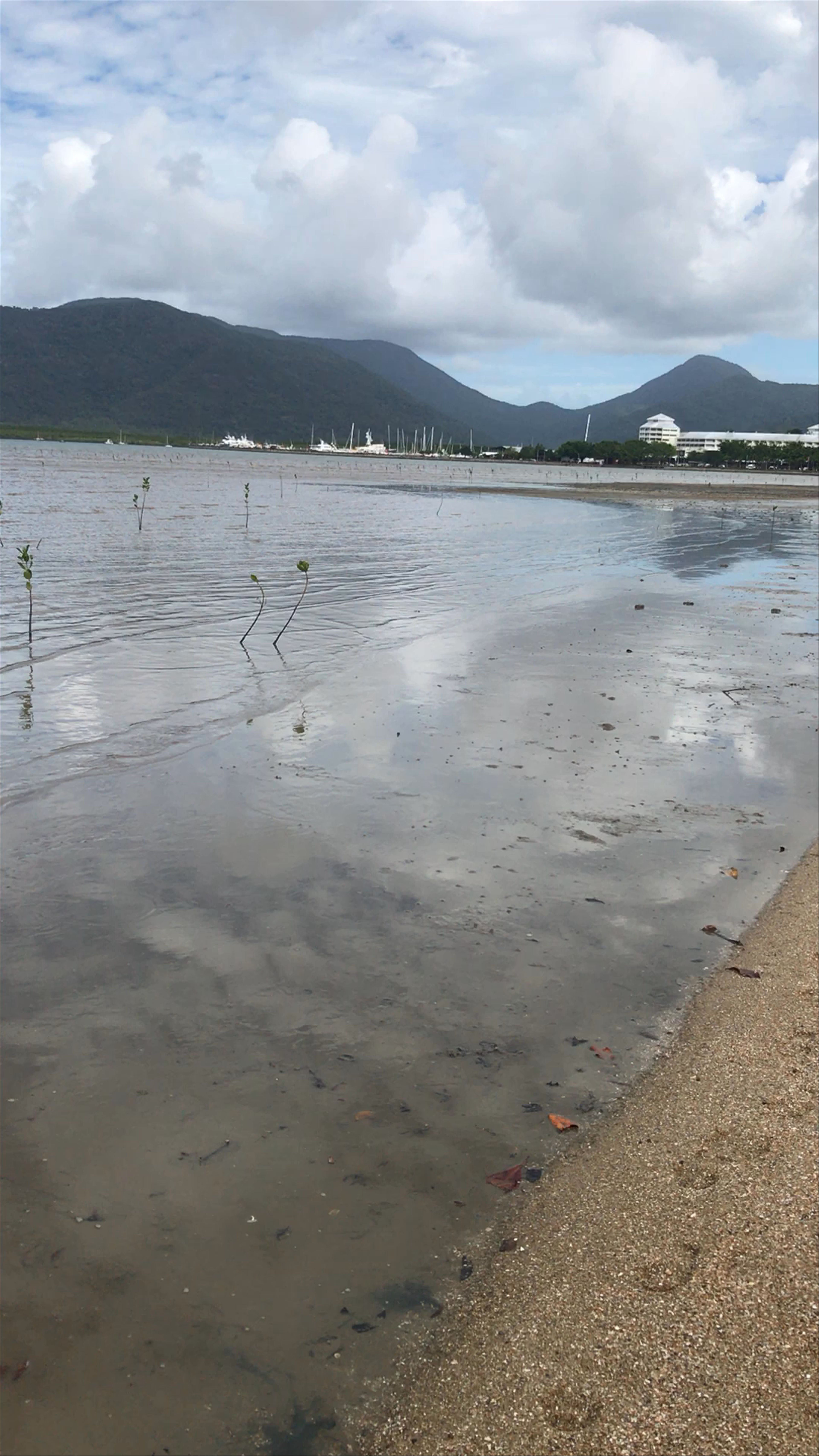 Cairns Esplanade Lagoon: Serene Coastal Escape in Queensland