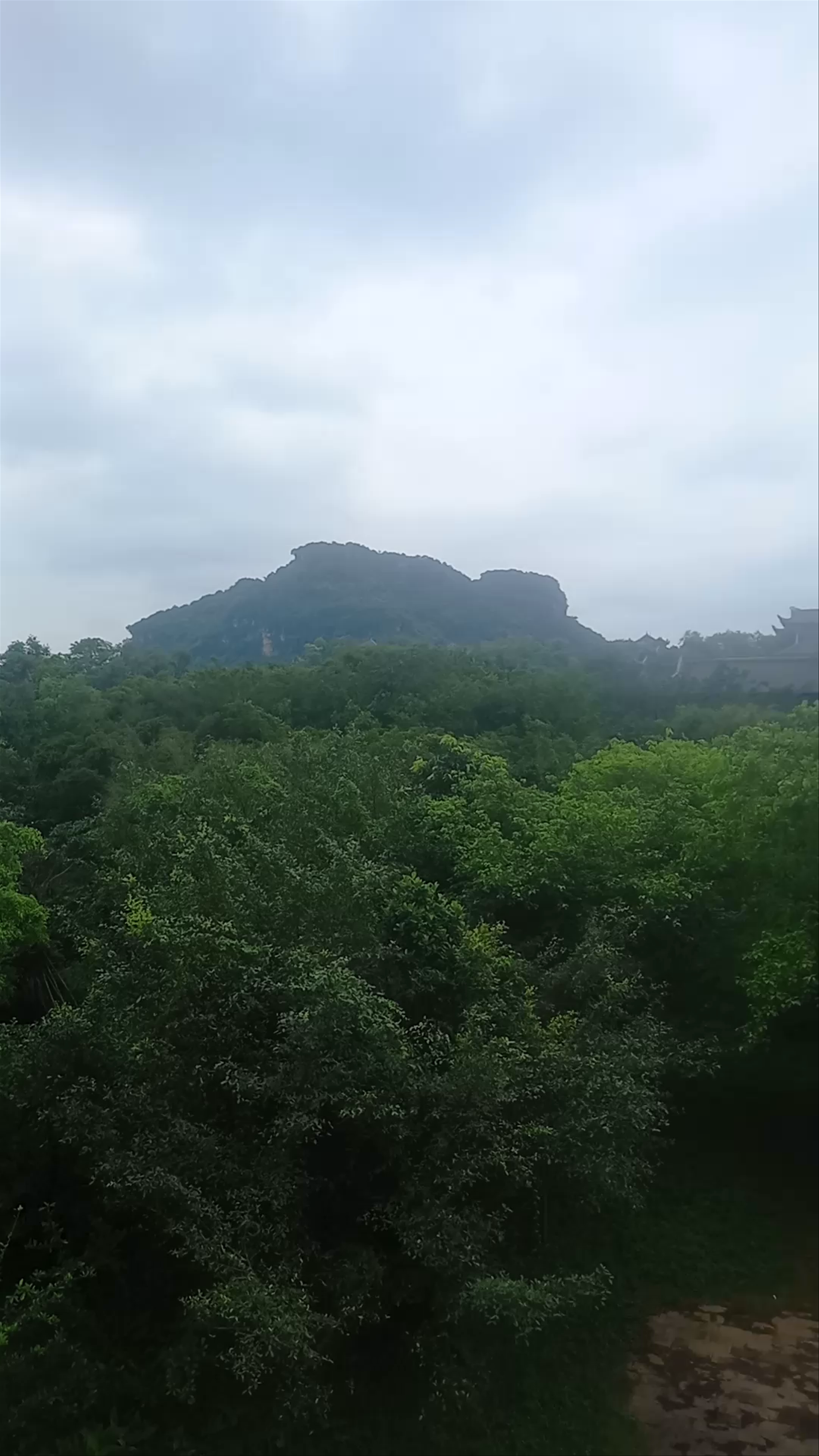 Bell Tower & Scenic Nature Views in Gia Viễn District, Ninh Bình, Vietnam