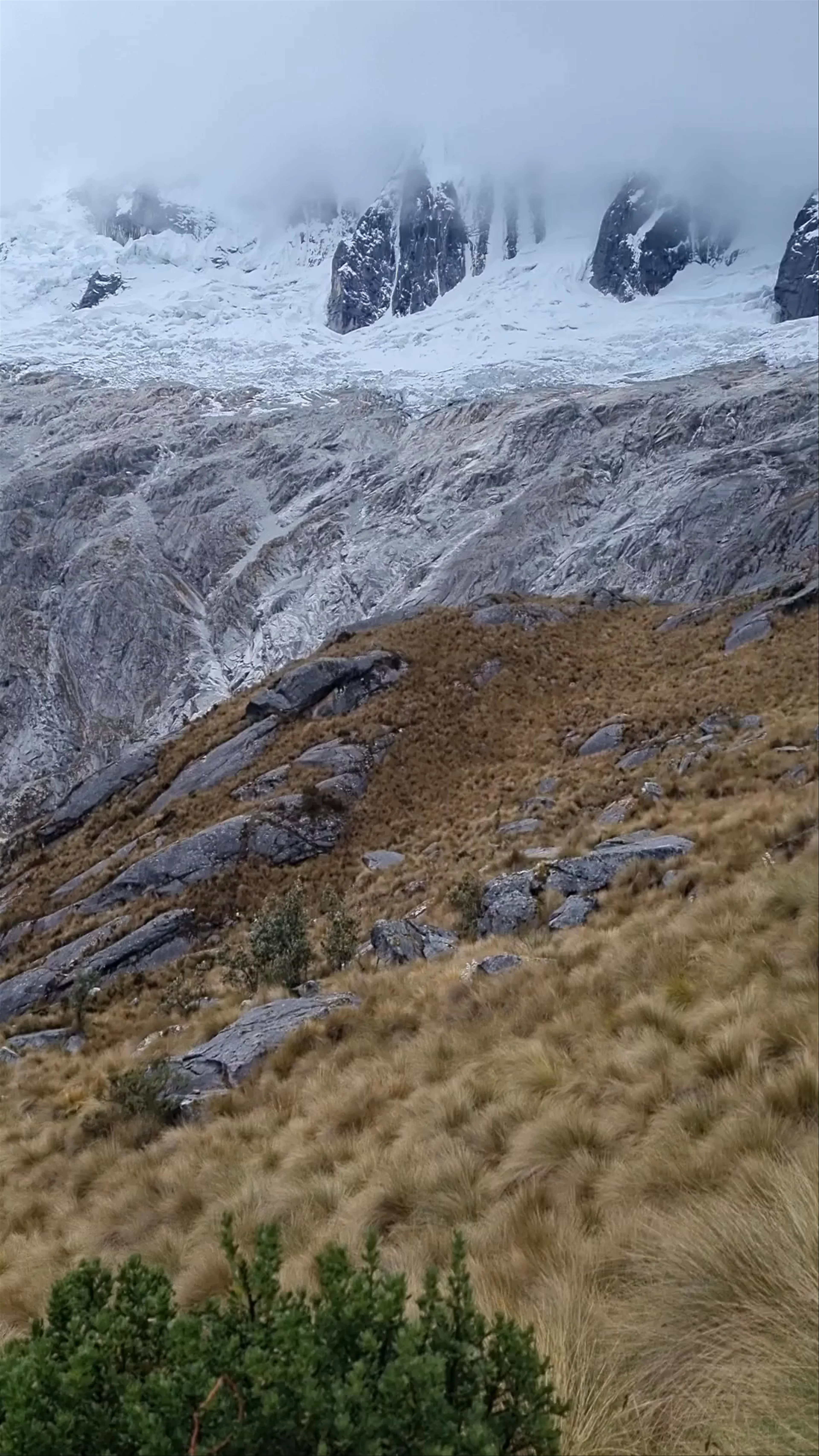 Taullicocha