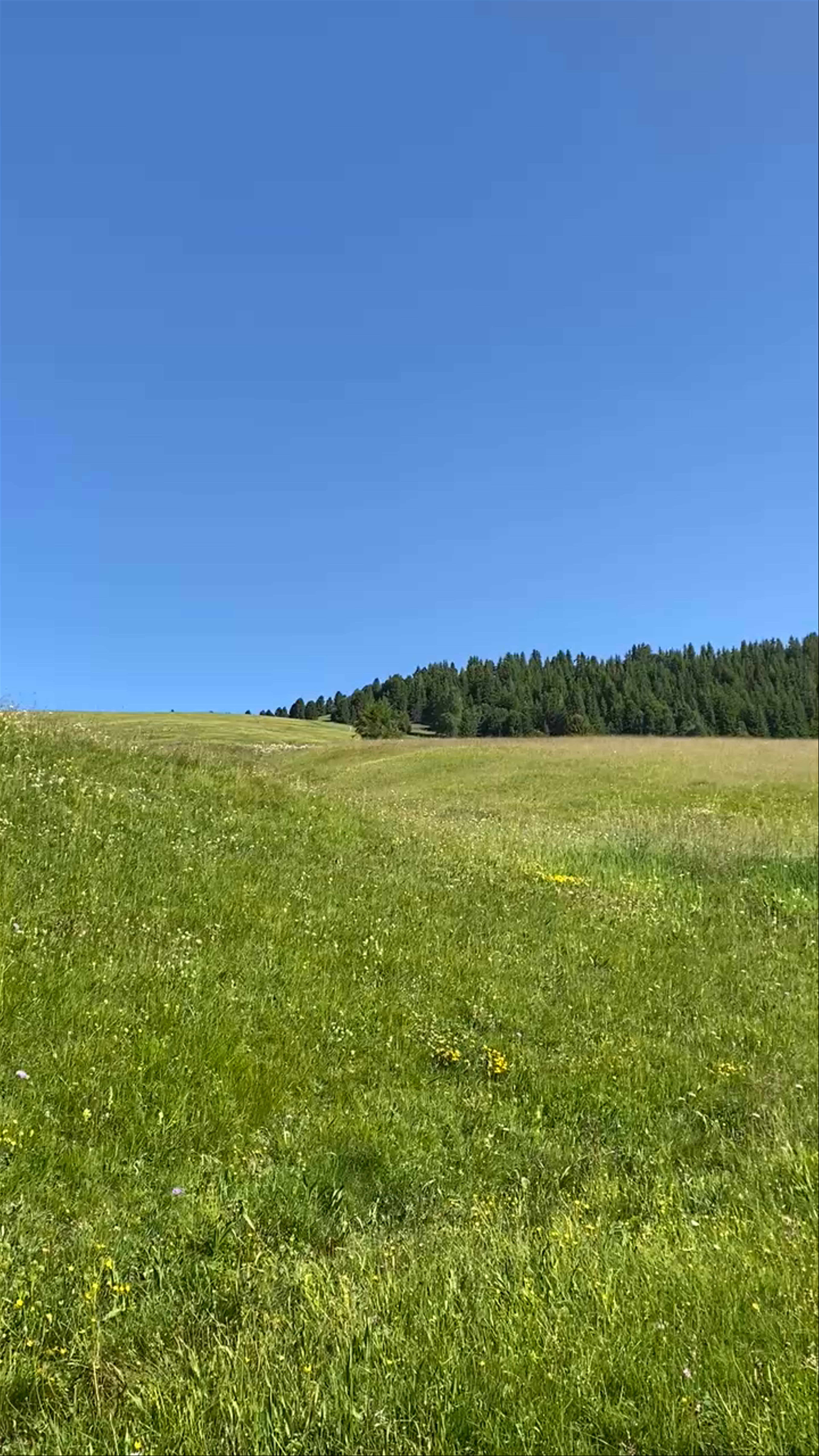 Alpe di Siusi