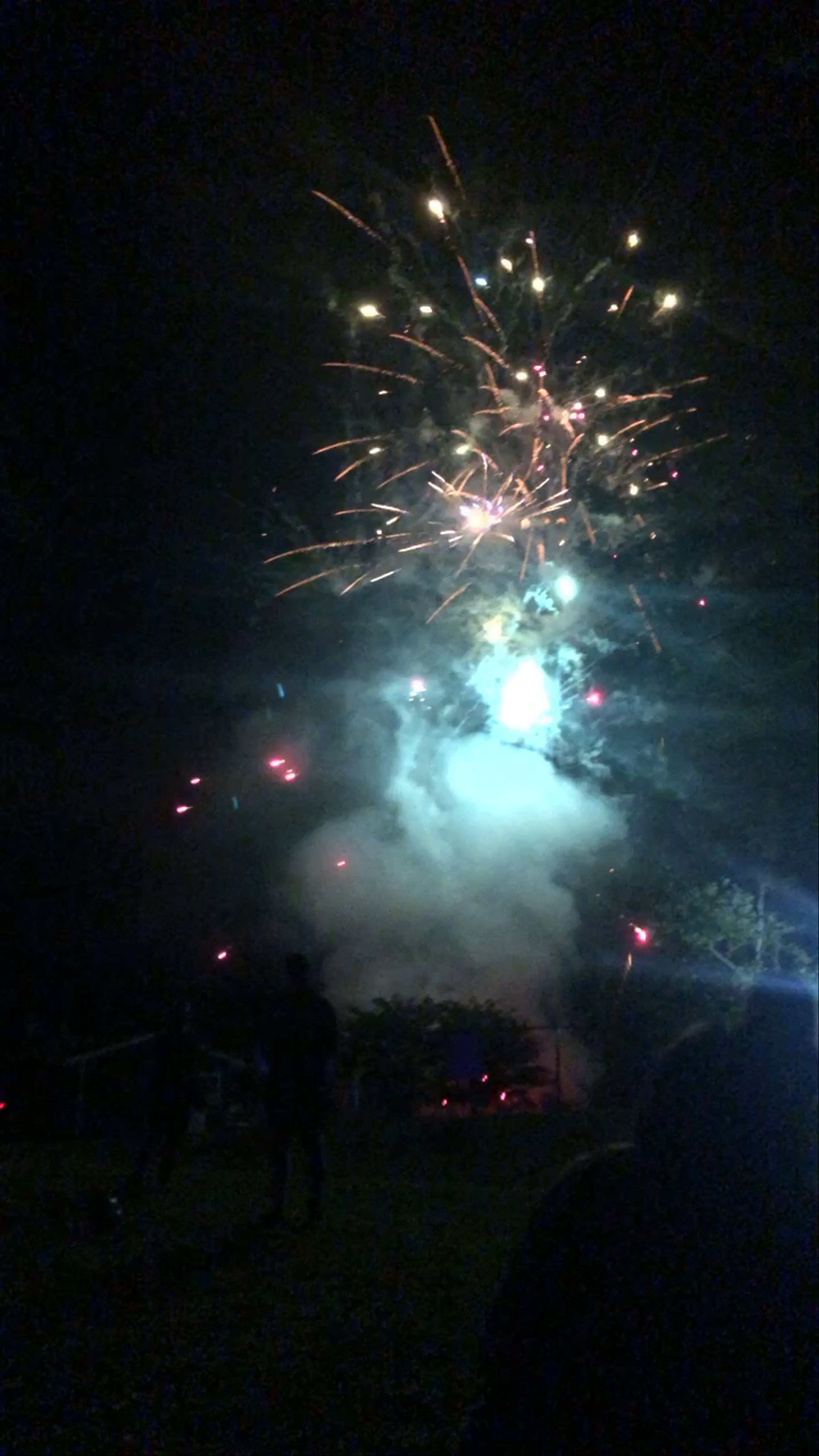 Blue Star Camps For Boys & Girls