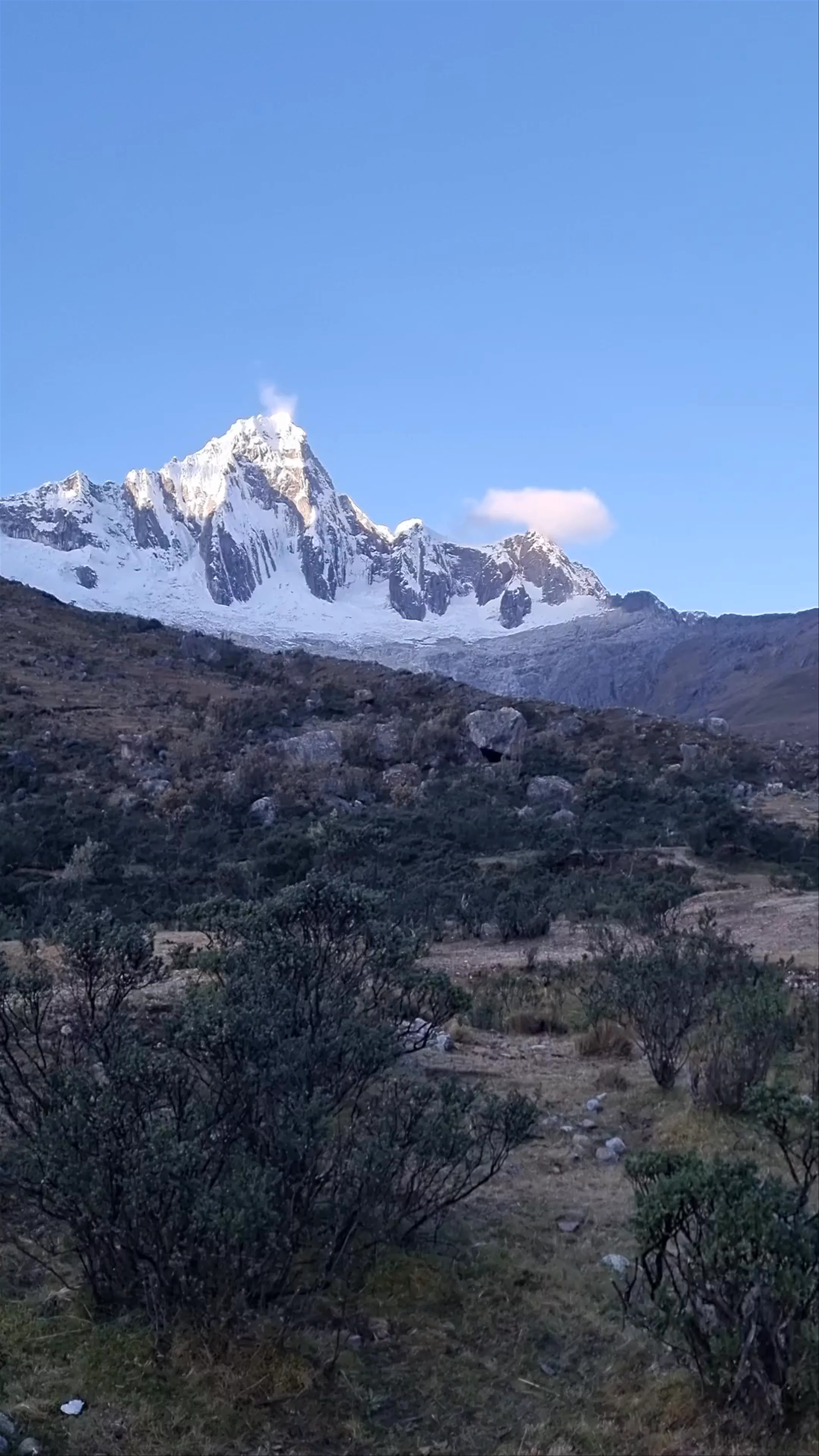 Taullipampa