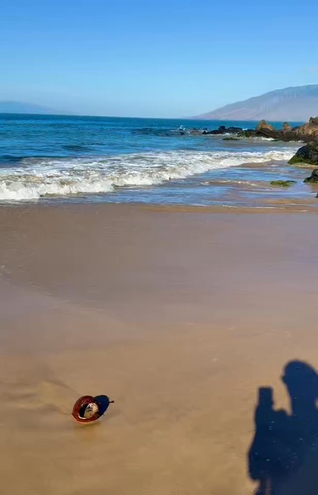 Charley Young Beach - Beaches Near Me