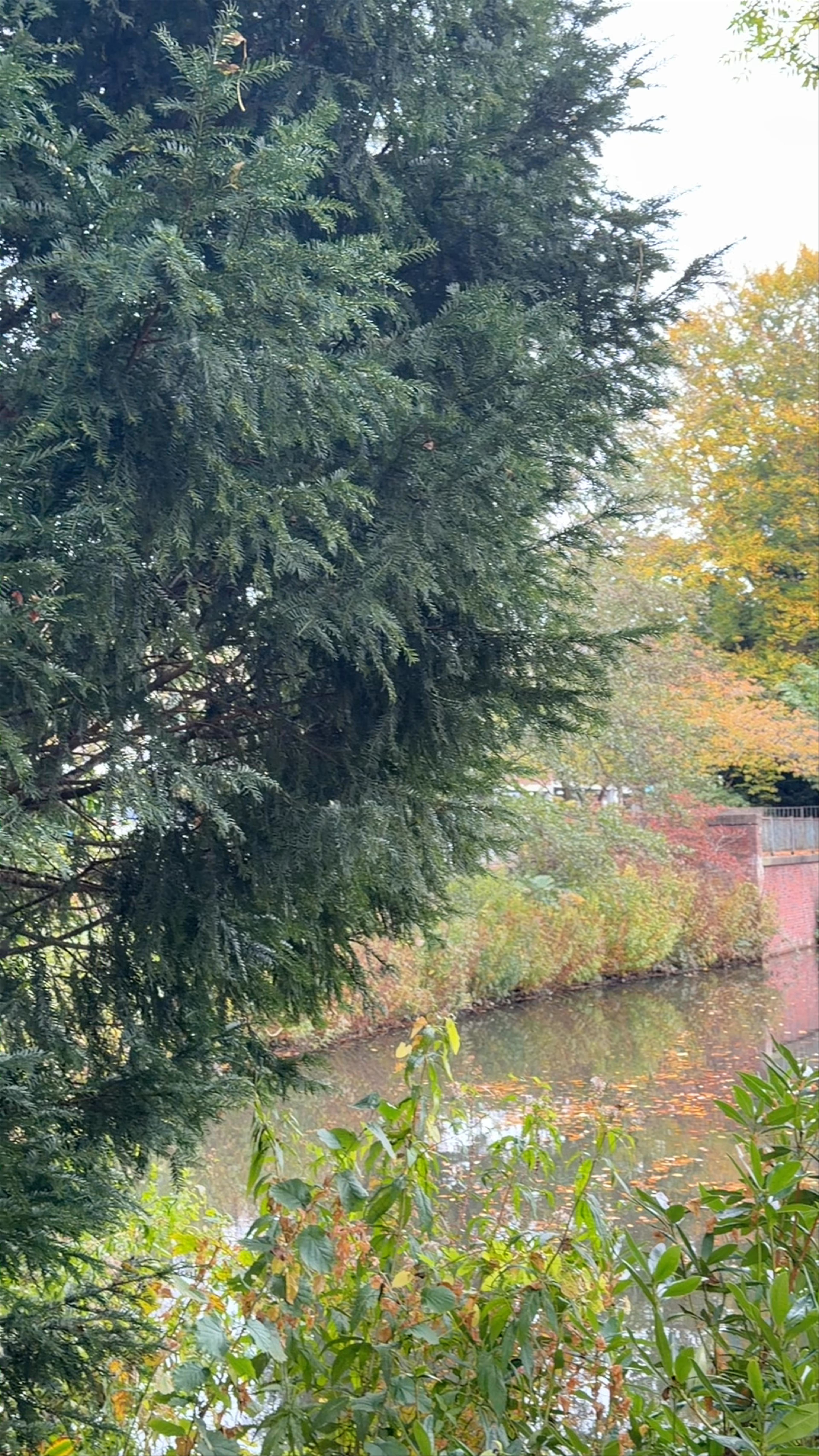 Schlossgarten Oldenburg: Autumn Serenity at the Historic Garden