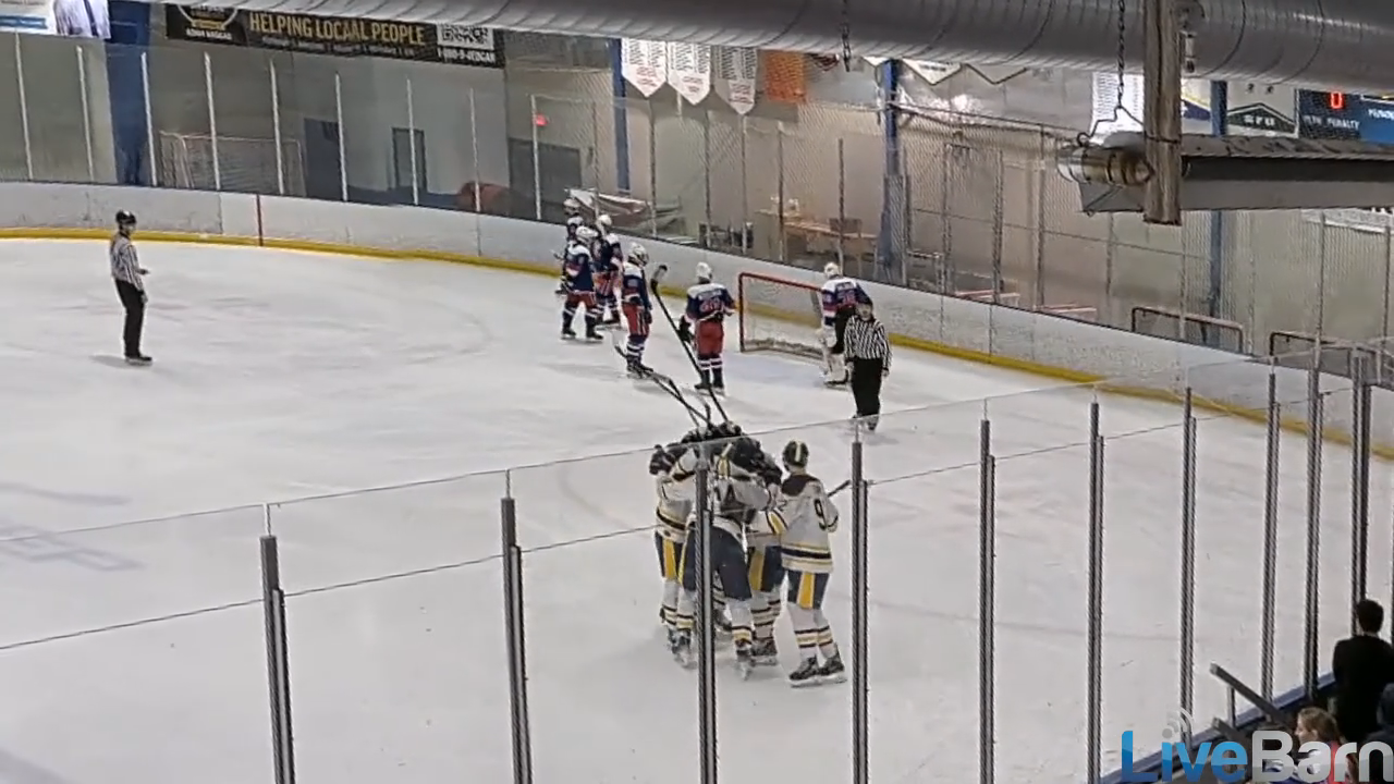 Matthew Lestitian's Sharp Angle Goal - Mars HS Highlights