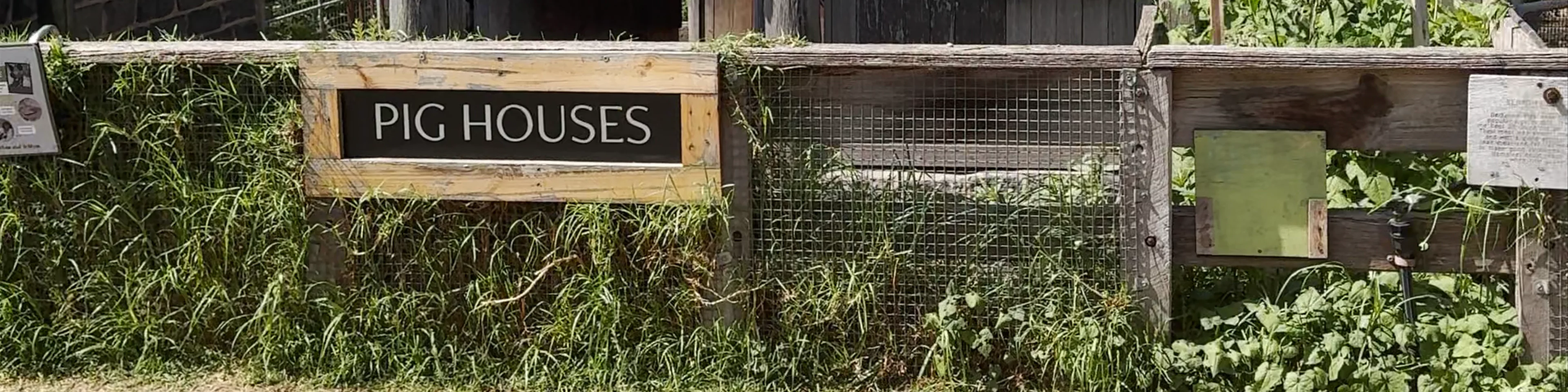 Collingwood Children's Farm