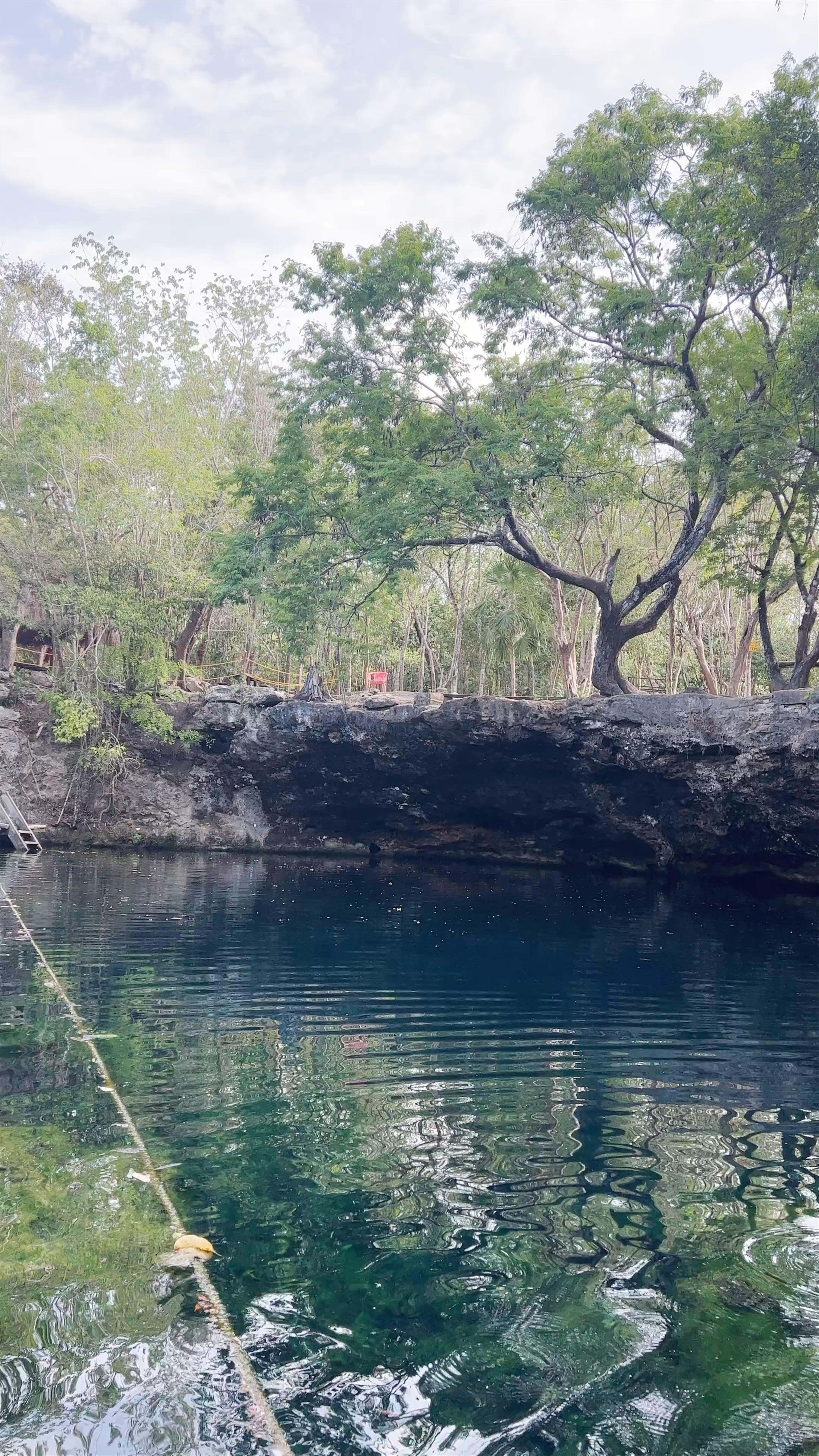 Cenote Ponderosa: Crystal Clear Serenity in Quintana Roo, Mexico