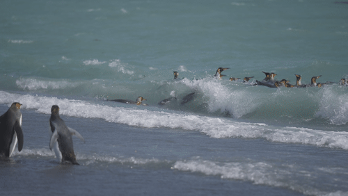 Untitled Work animated gif