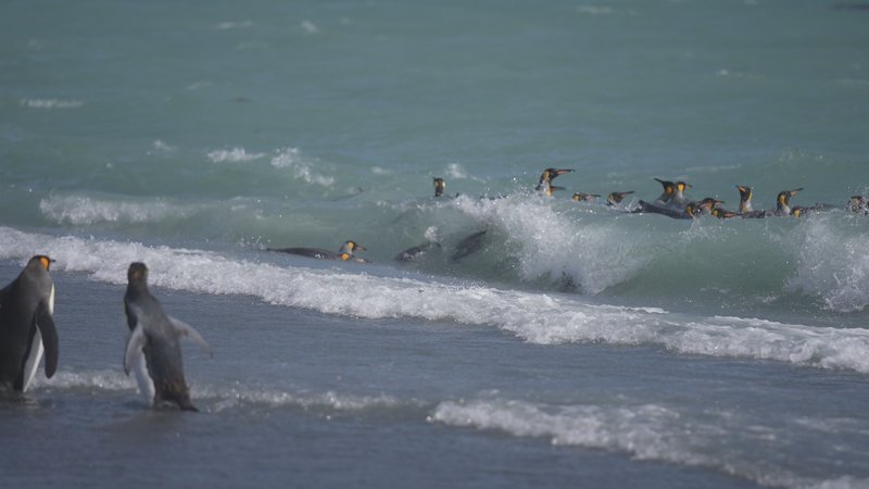 Untitled Work poster