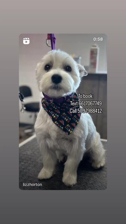 Sittin’ Pretty Pet Spa - Pet Groomers Near Me - Spokane, Washington