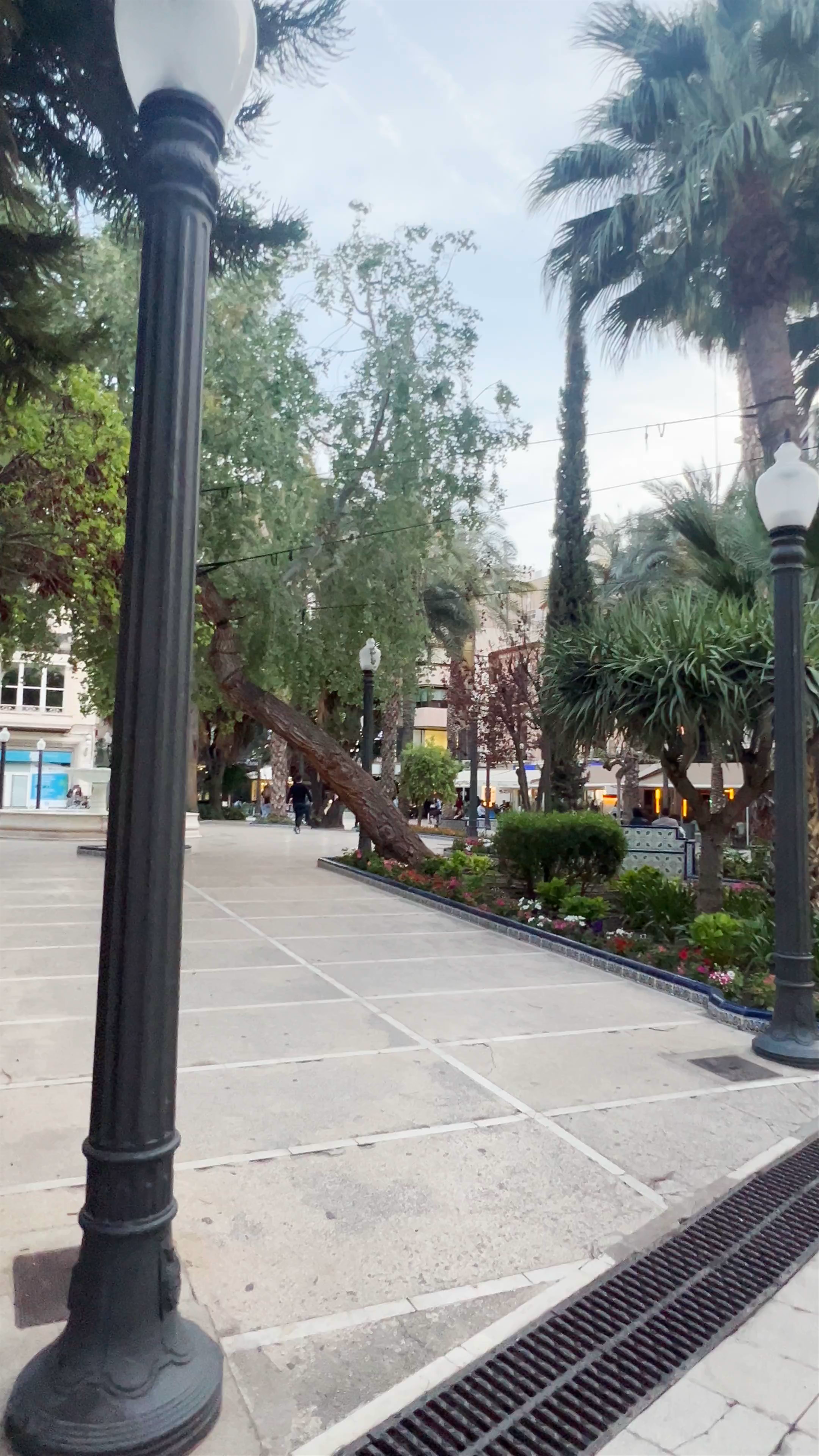 Plaza Glorieta: A Tranquil Urban Oasis in Elche, Spain