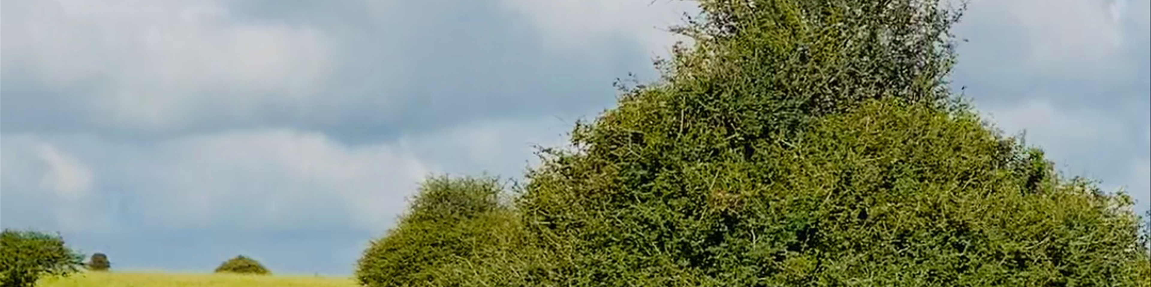 Kenya