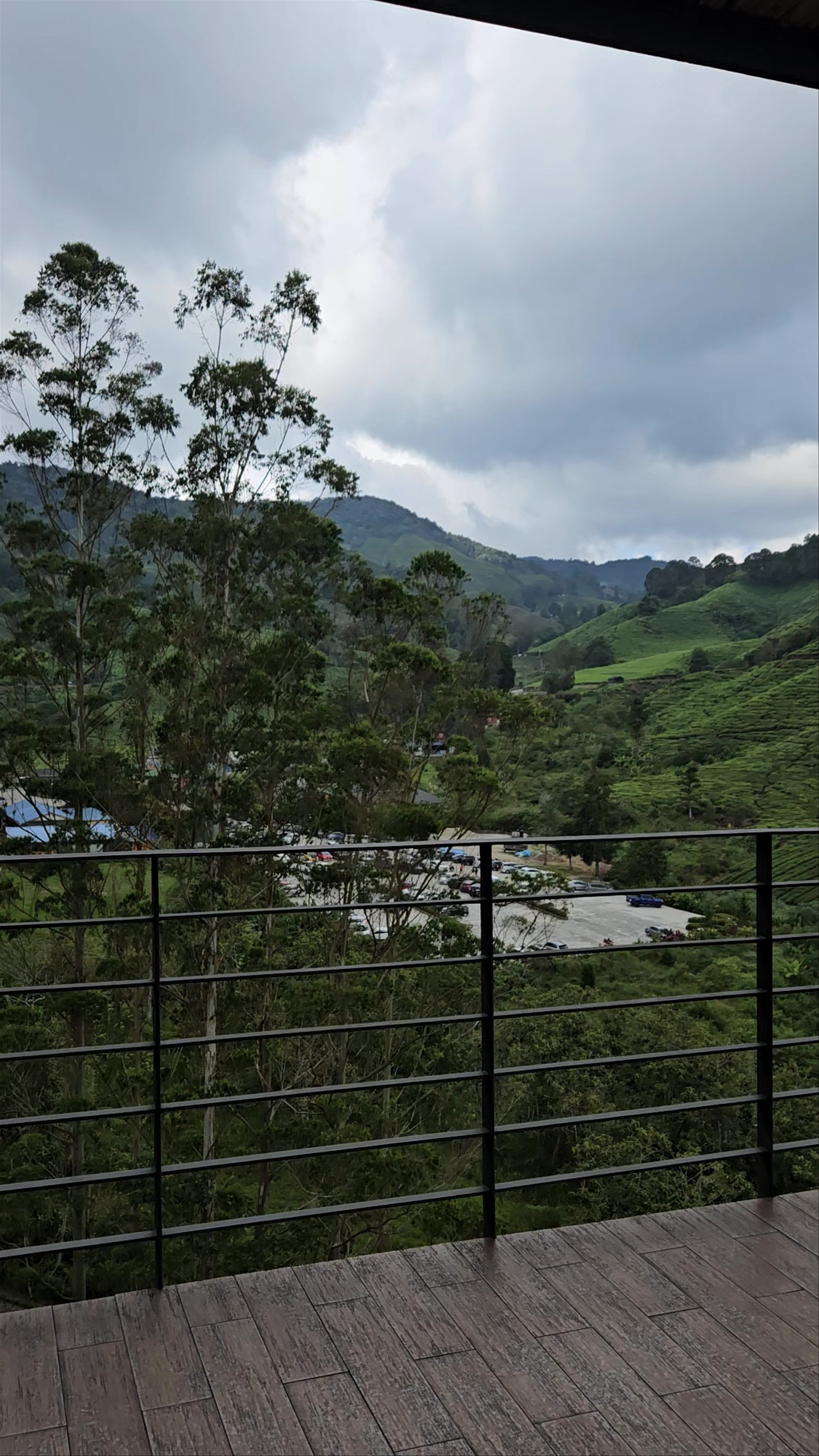 BOH Tea Centre