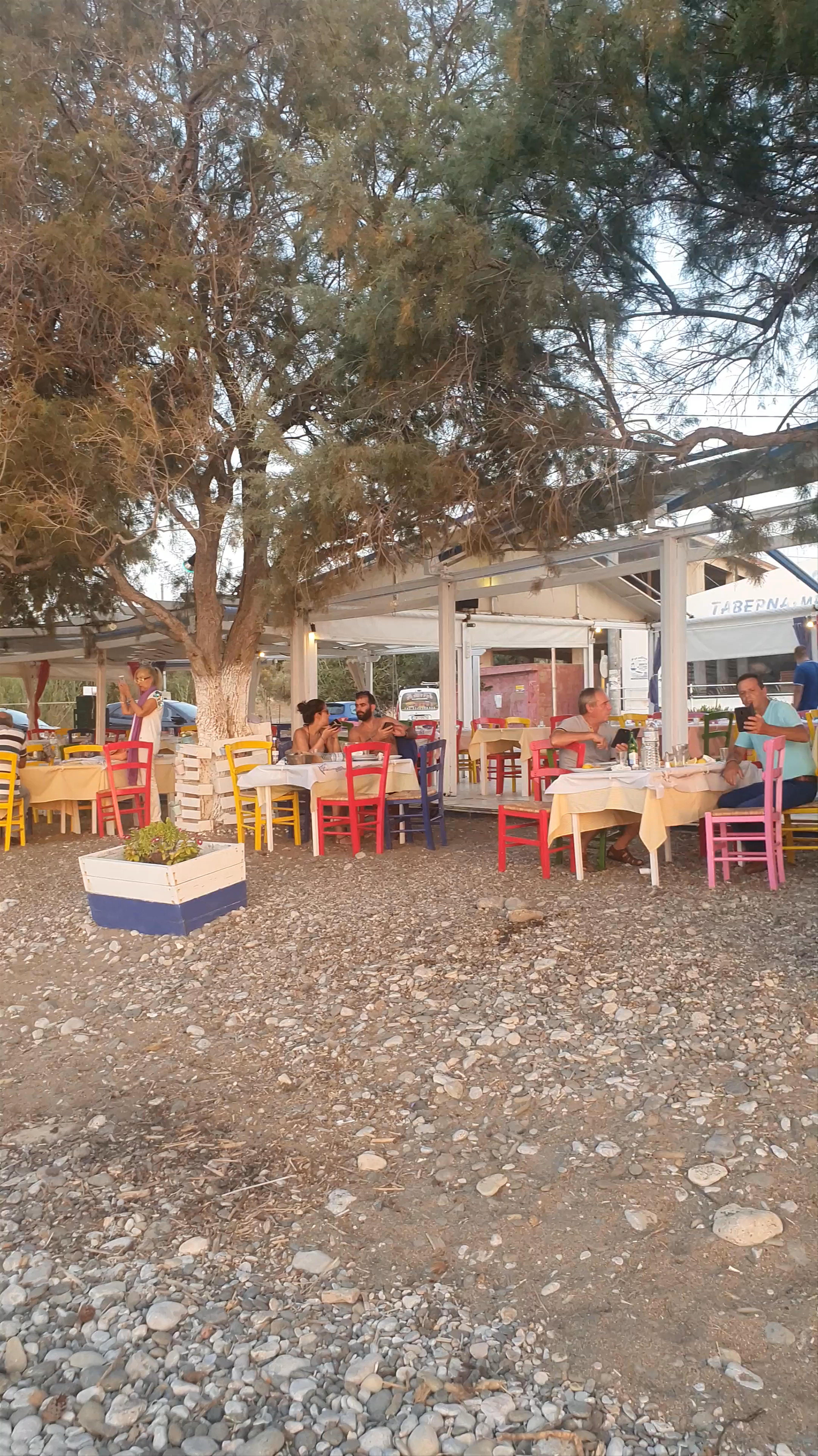 Θάλασσα - Ταβέρνα/Μεζεδοπωλείο, Αλεποχώρι