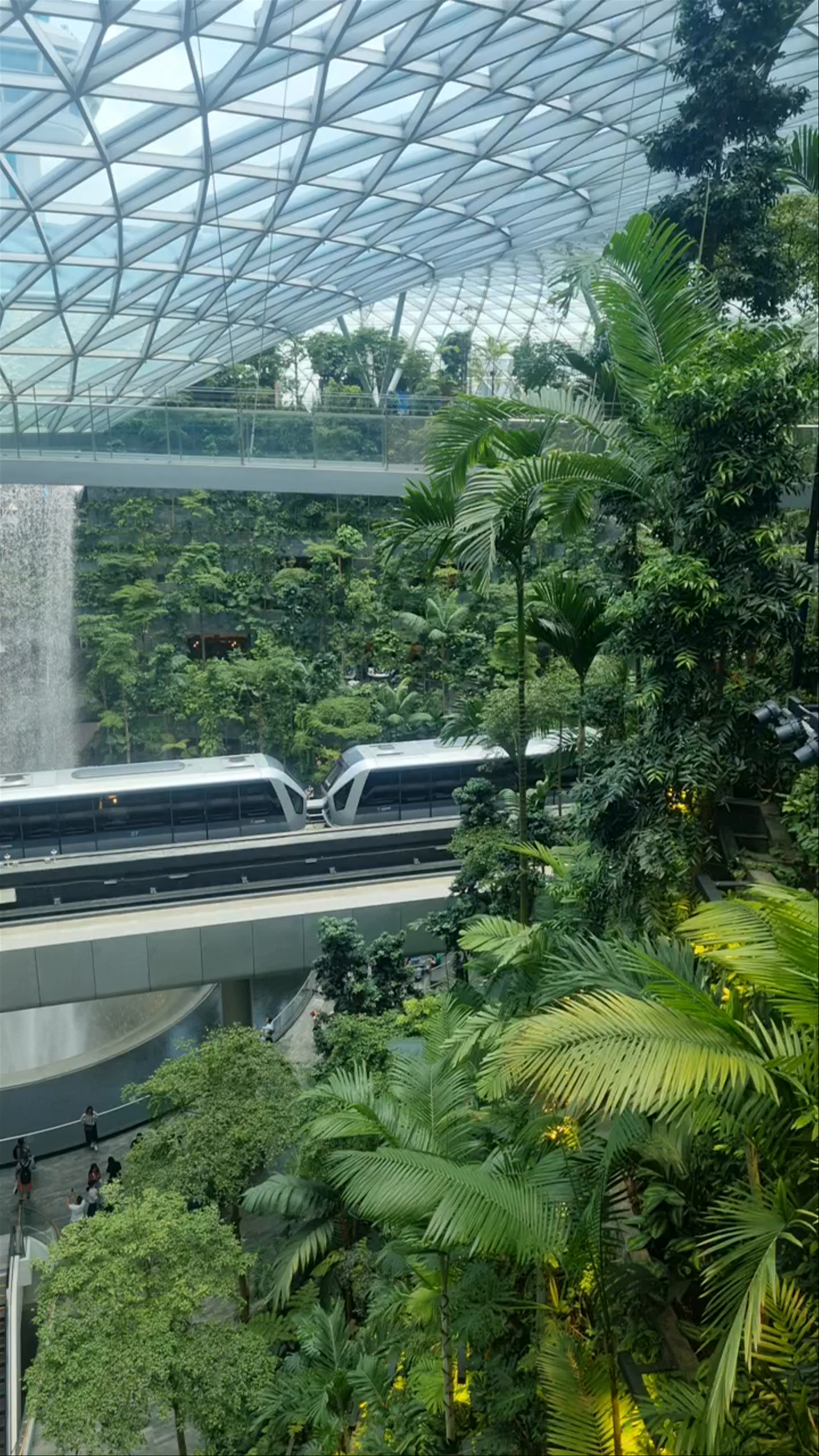 Airport Boulevard