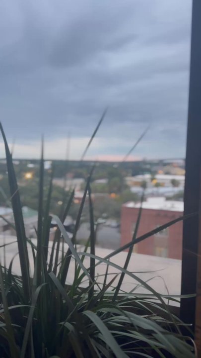 The Lost Square - Cocktail Bars Near Me - Savannah, Georgia