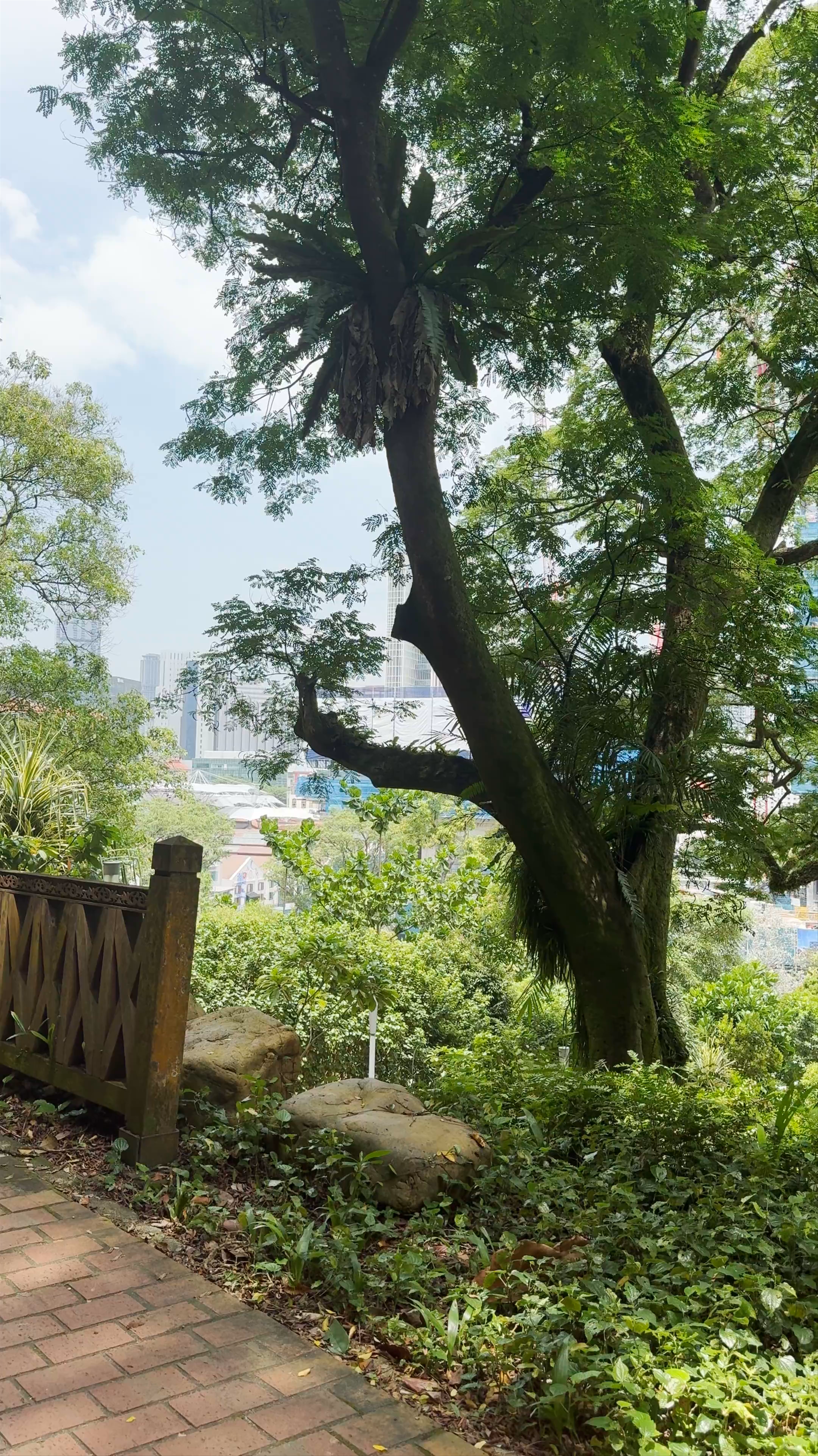 Serene Walk Through Fort Canning Park, Singapore