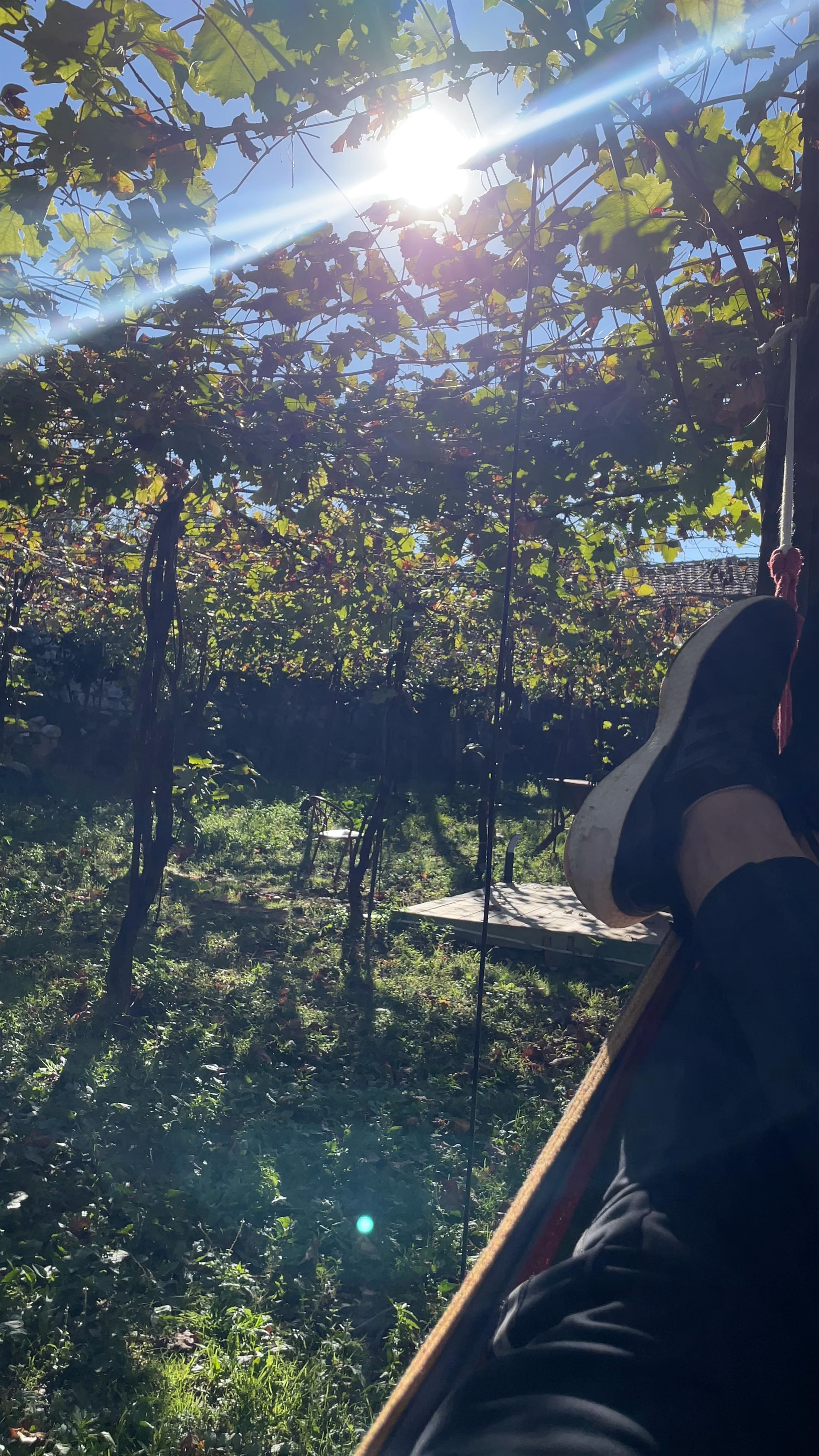 Alpeta Agrotourism & Winery (Alpeta Agroturizem)