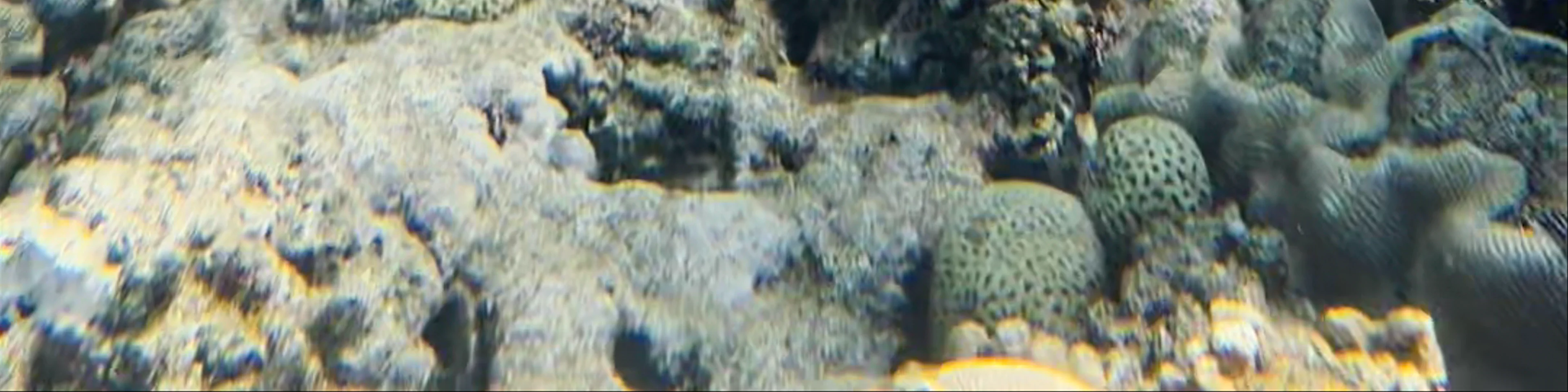 snorkelling place