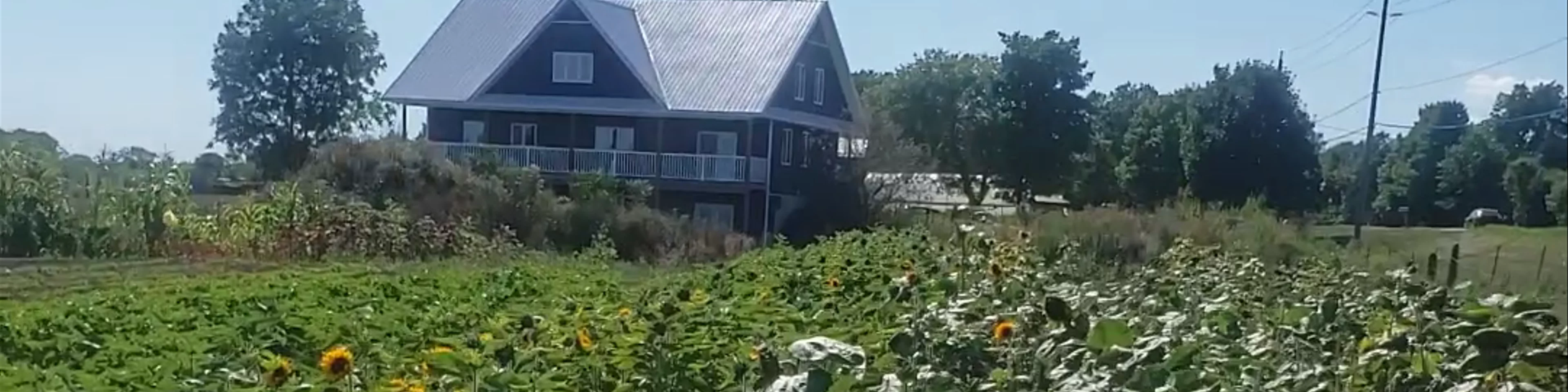 Makkink's Flower Farm