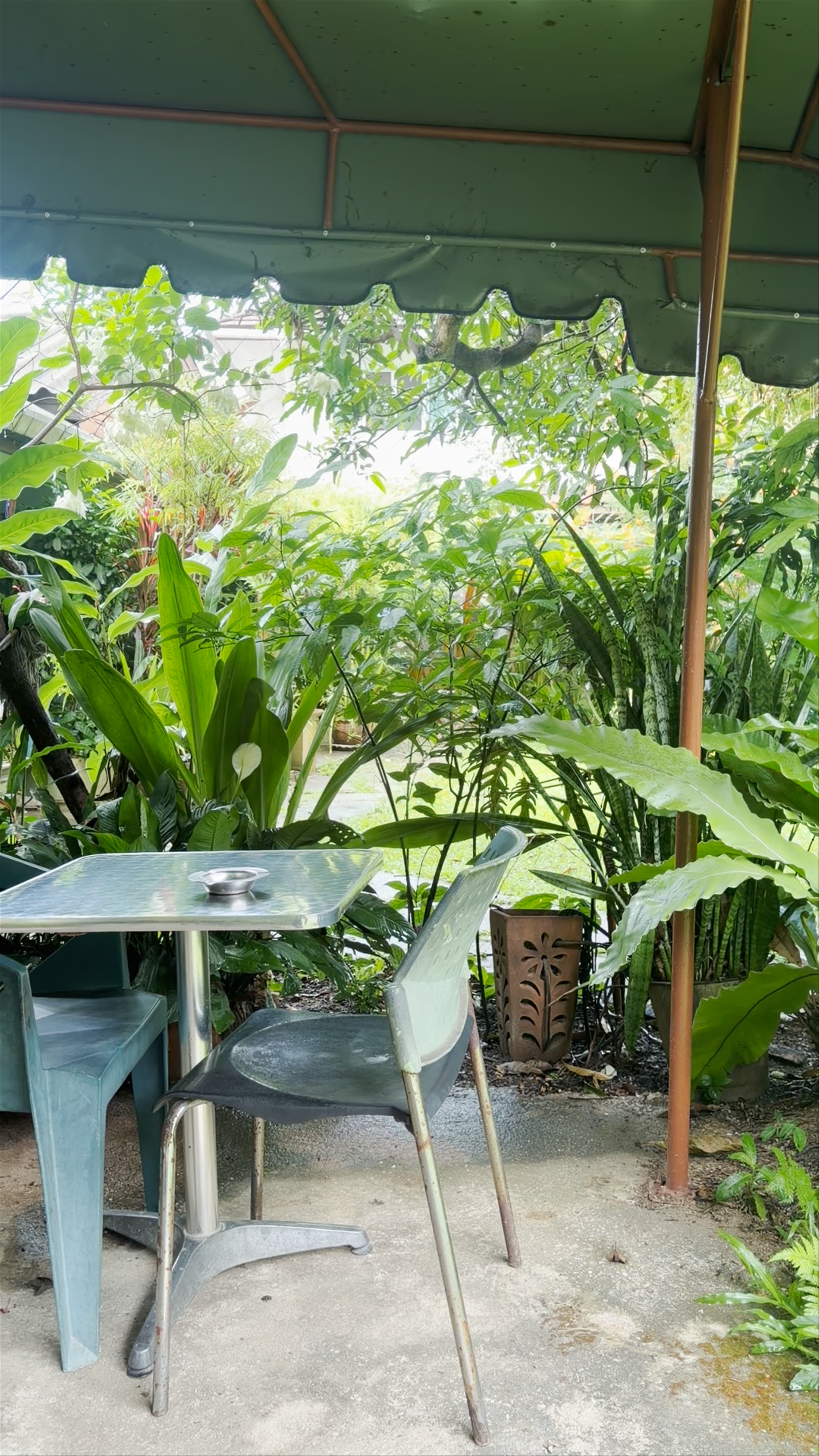 Baanbua Guest house