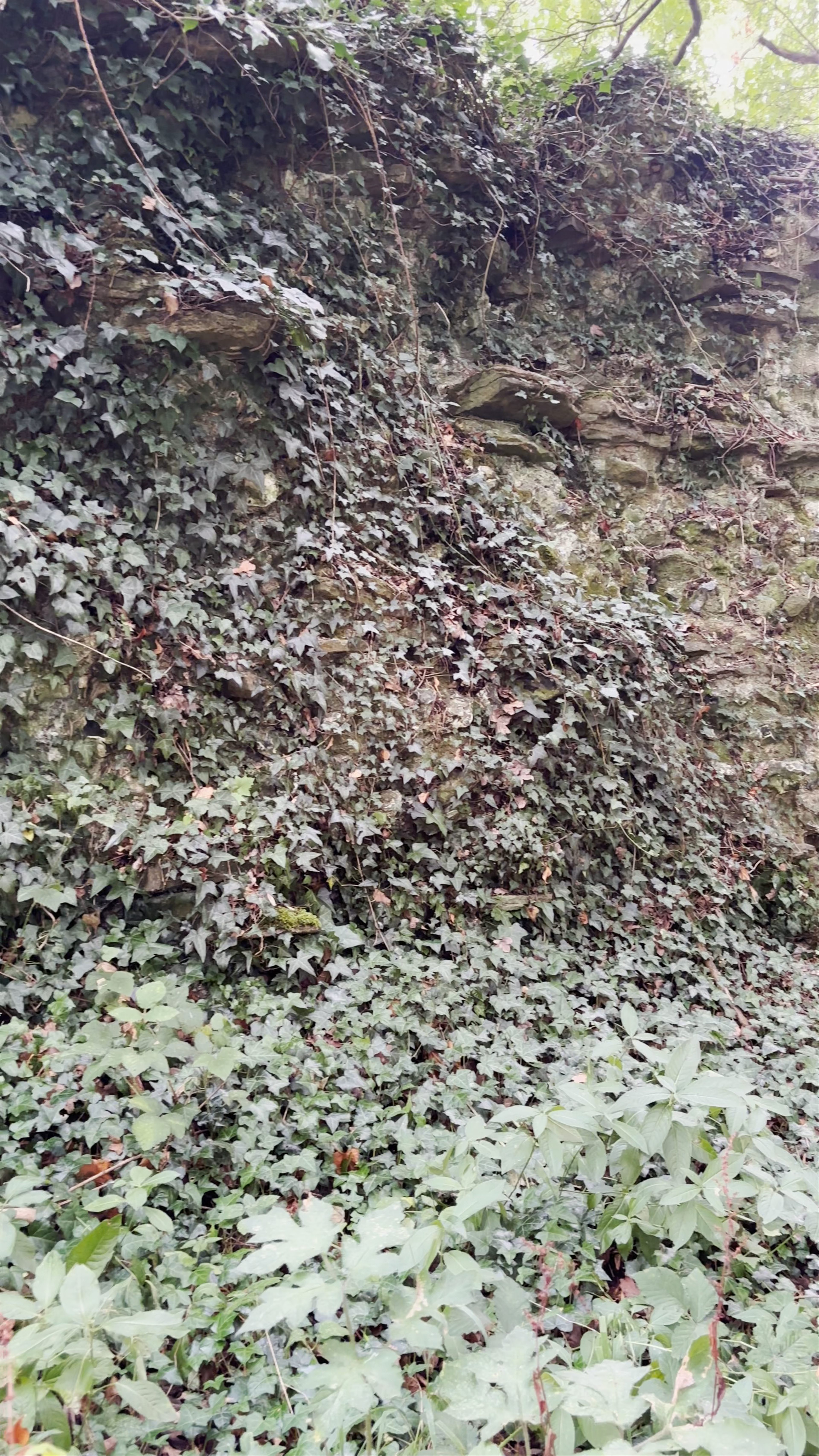 Silchester Roman Town Walls & Amphitheatre