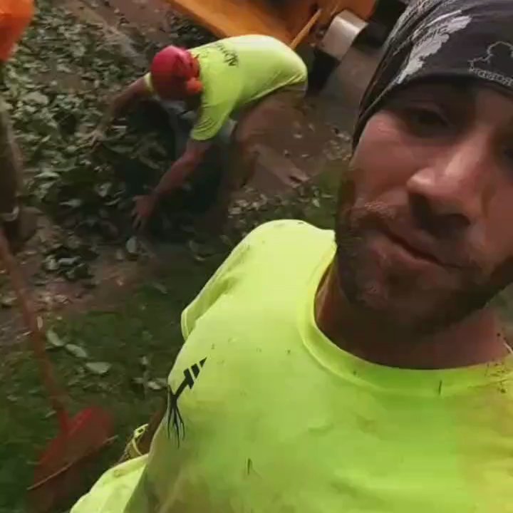 Kalani Tree Service - Tree Services Near Me