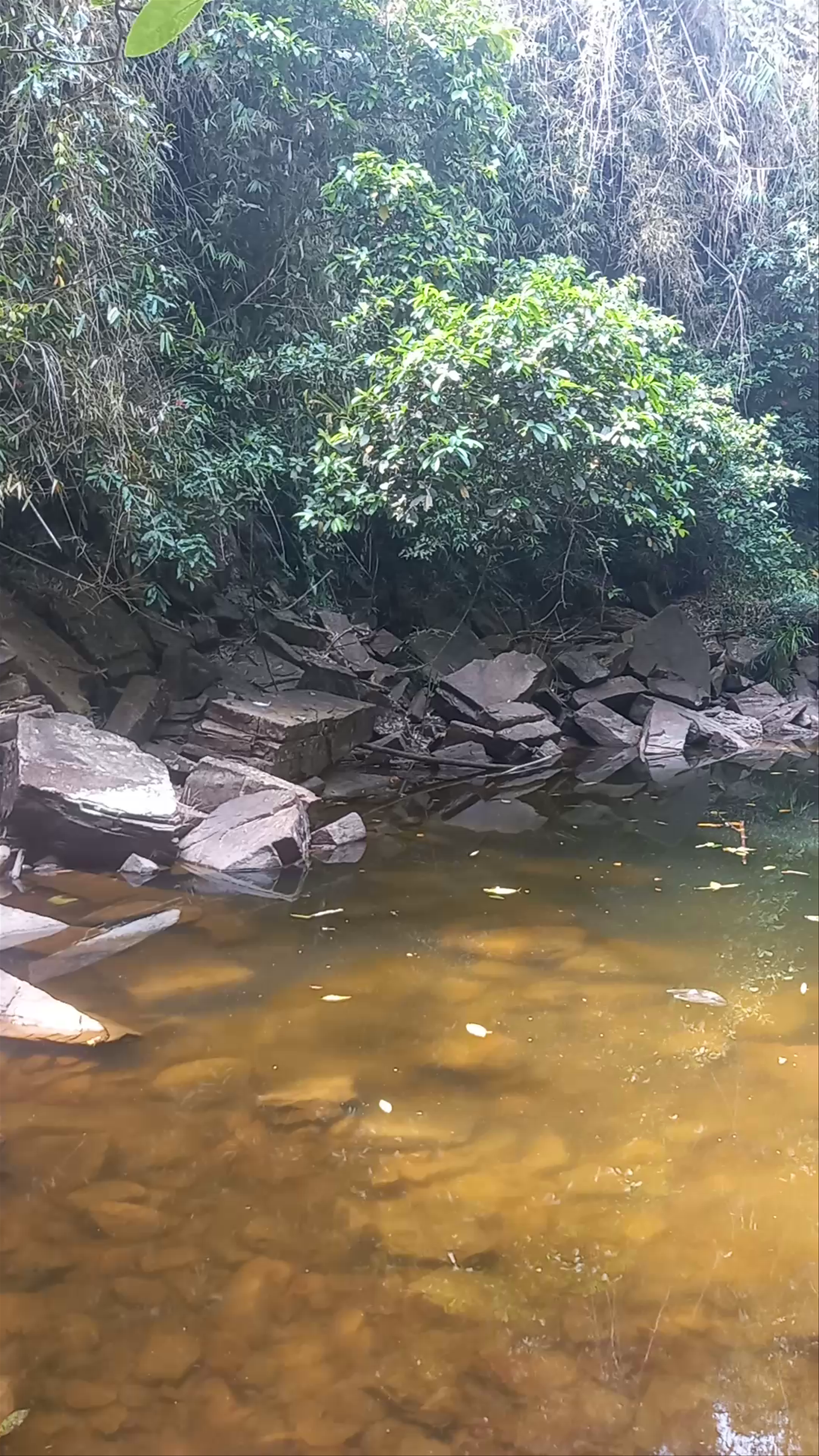 ទឹកធ្លាក់តាចាត Ta Chat Waterfall