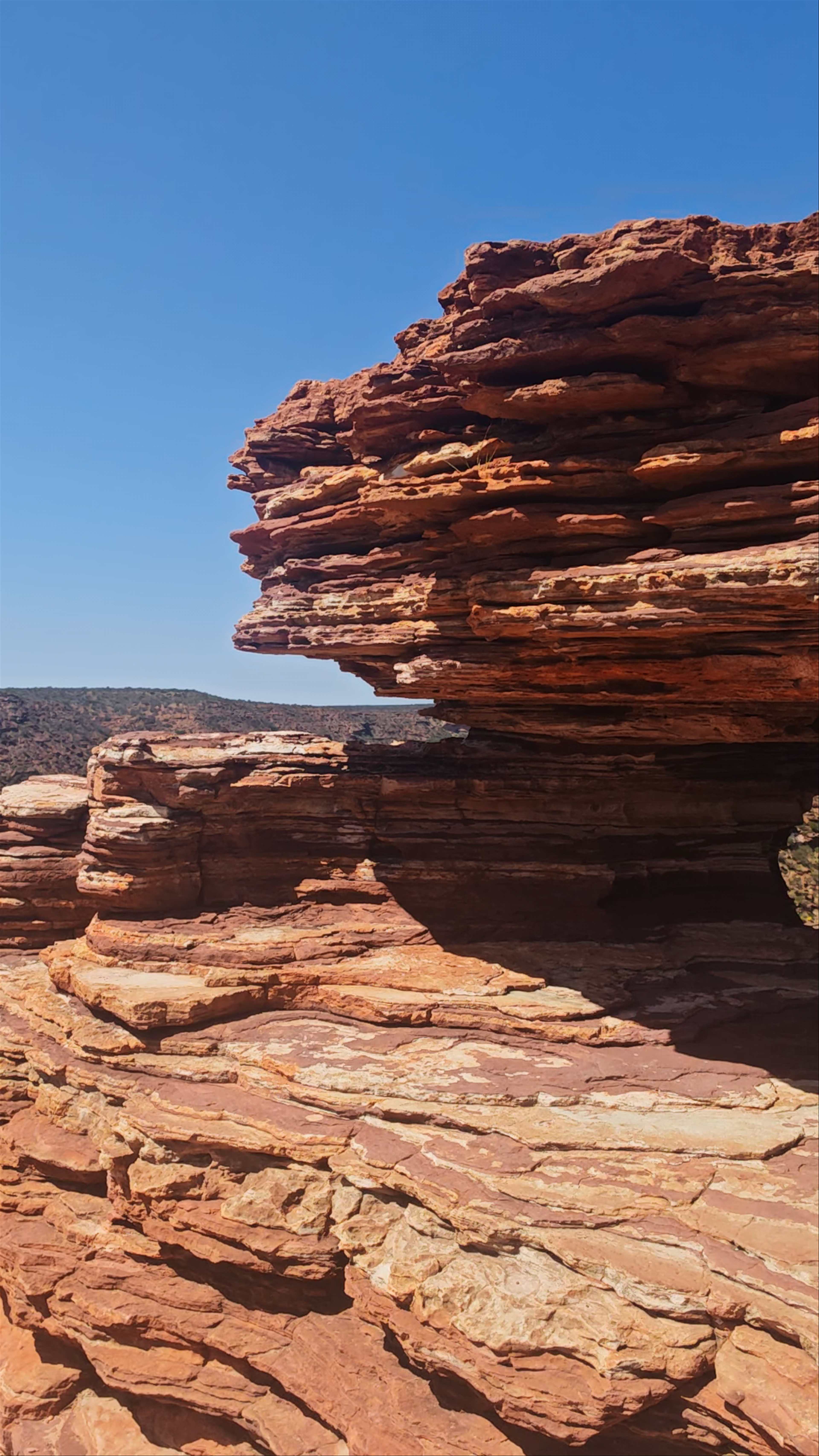 Nature's Window